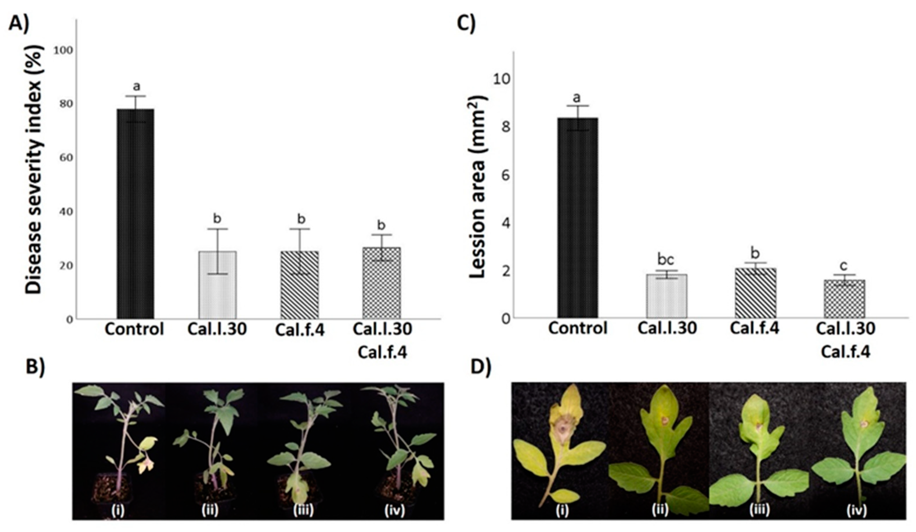 Biology 12 00779 g006