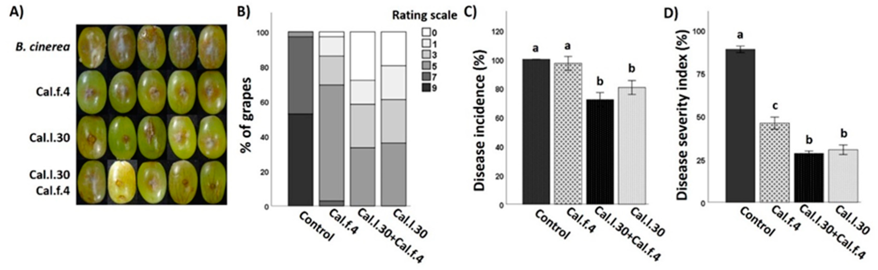 Biology 12 00779 g008