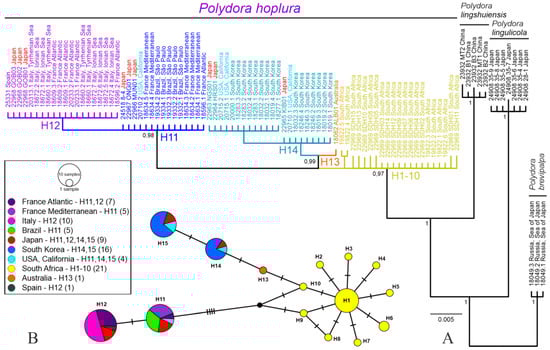 Biology 12 00780 g003