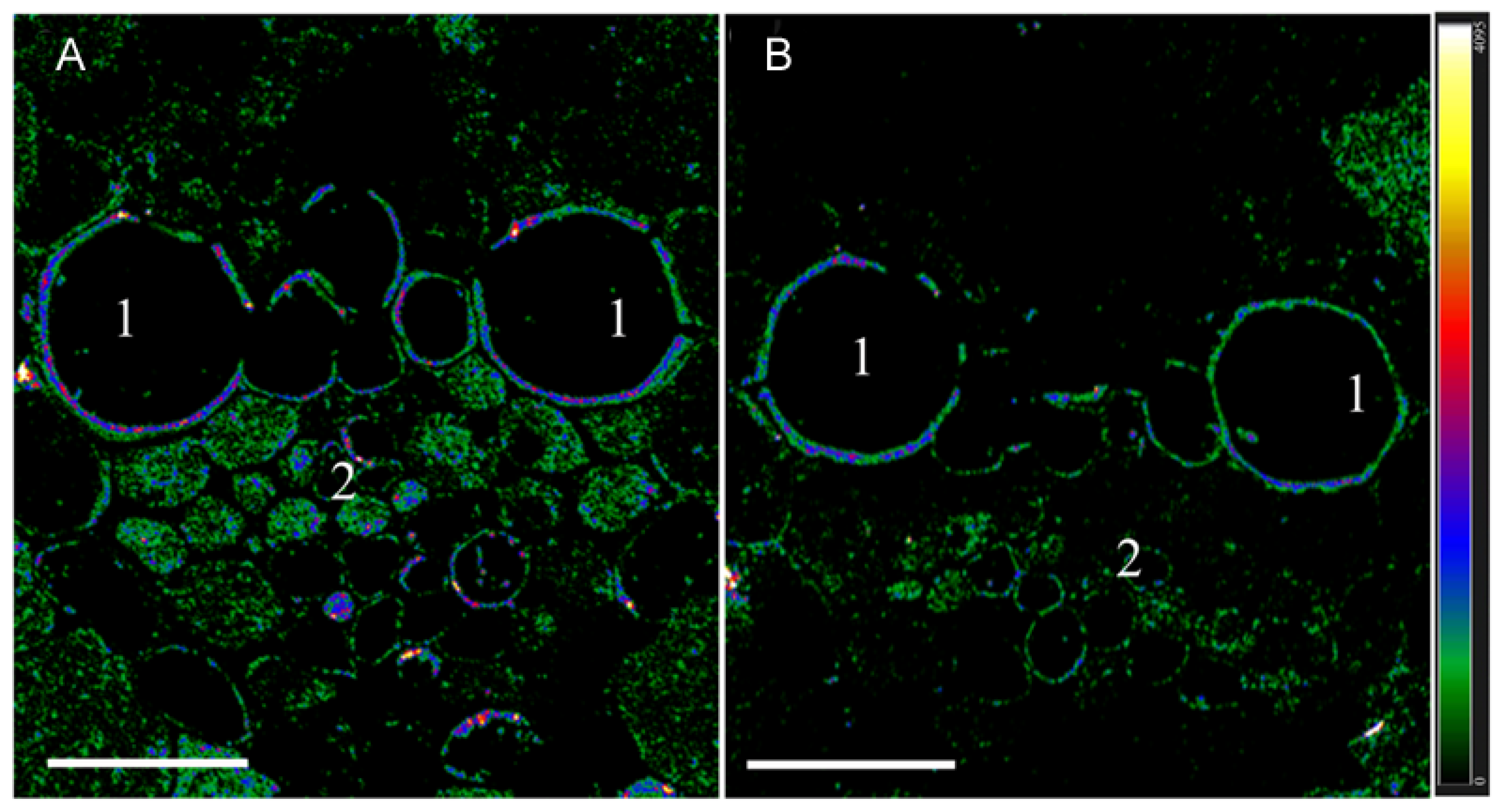 Biology 12 00787 g002