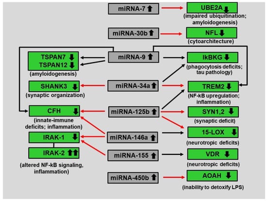 Biology 12 00788 g001