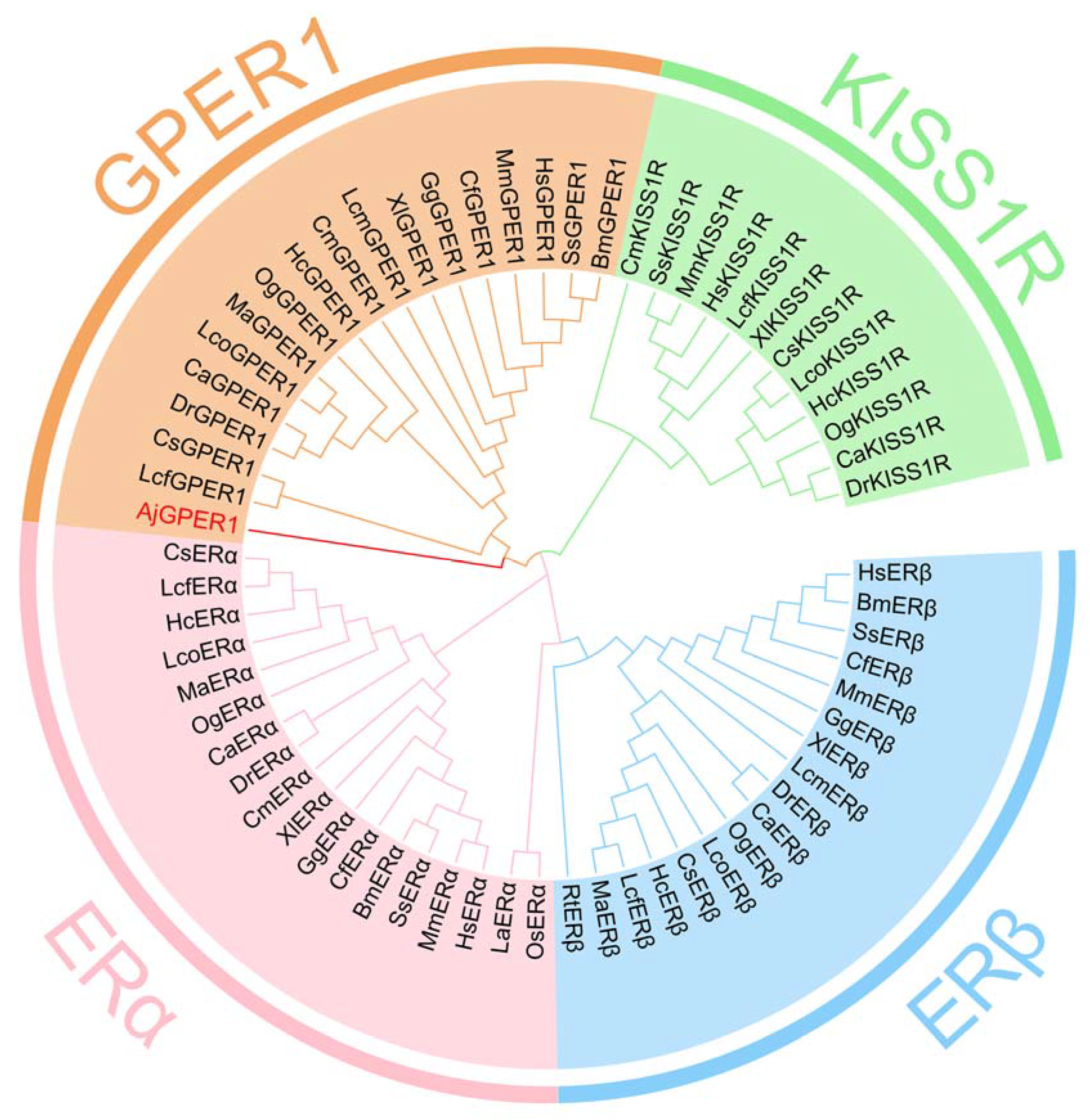 Biology 12 00798 g003