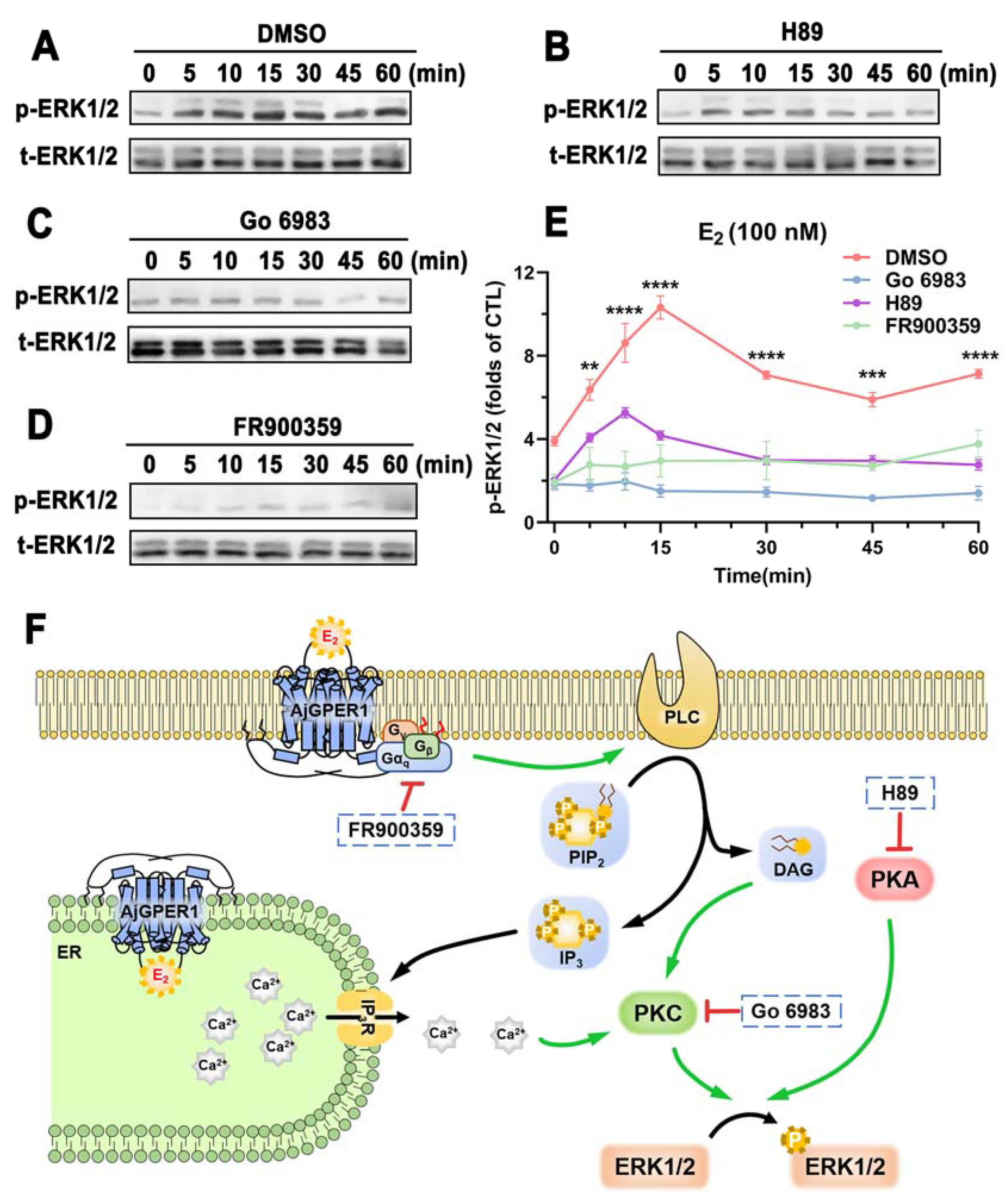 Biology 12 00798 g006