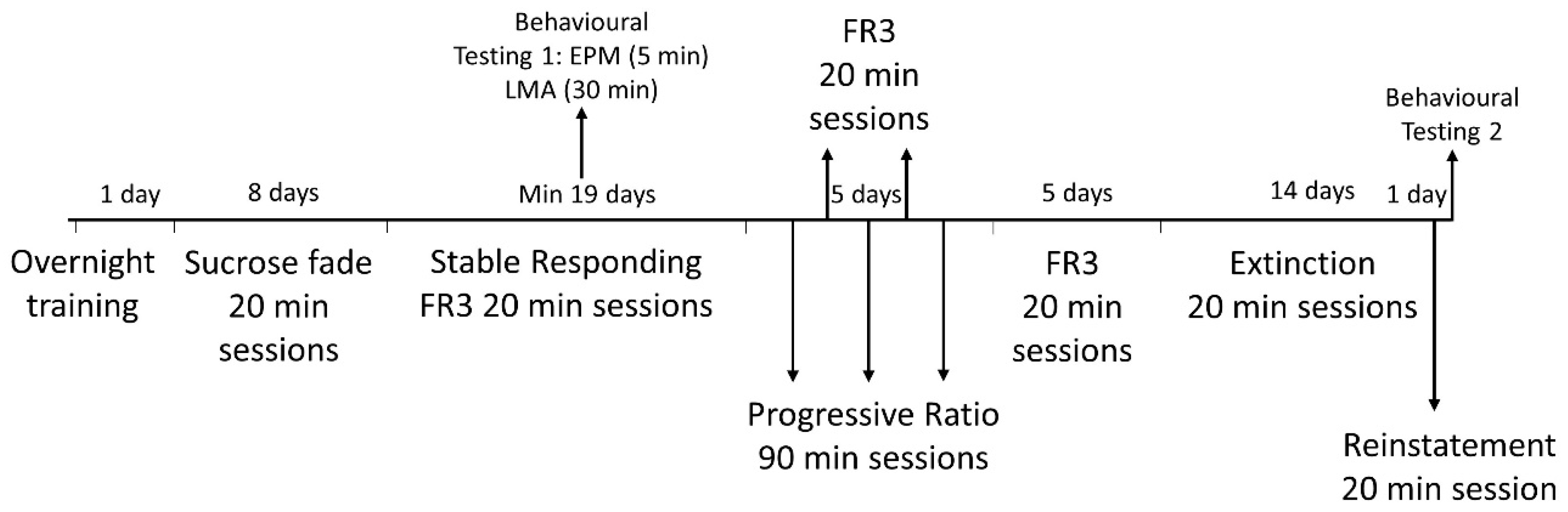 Biology 12 00799 g001