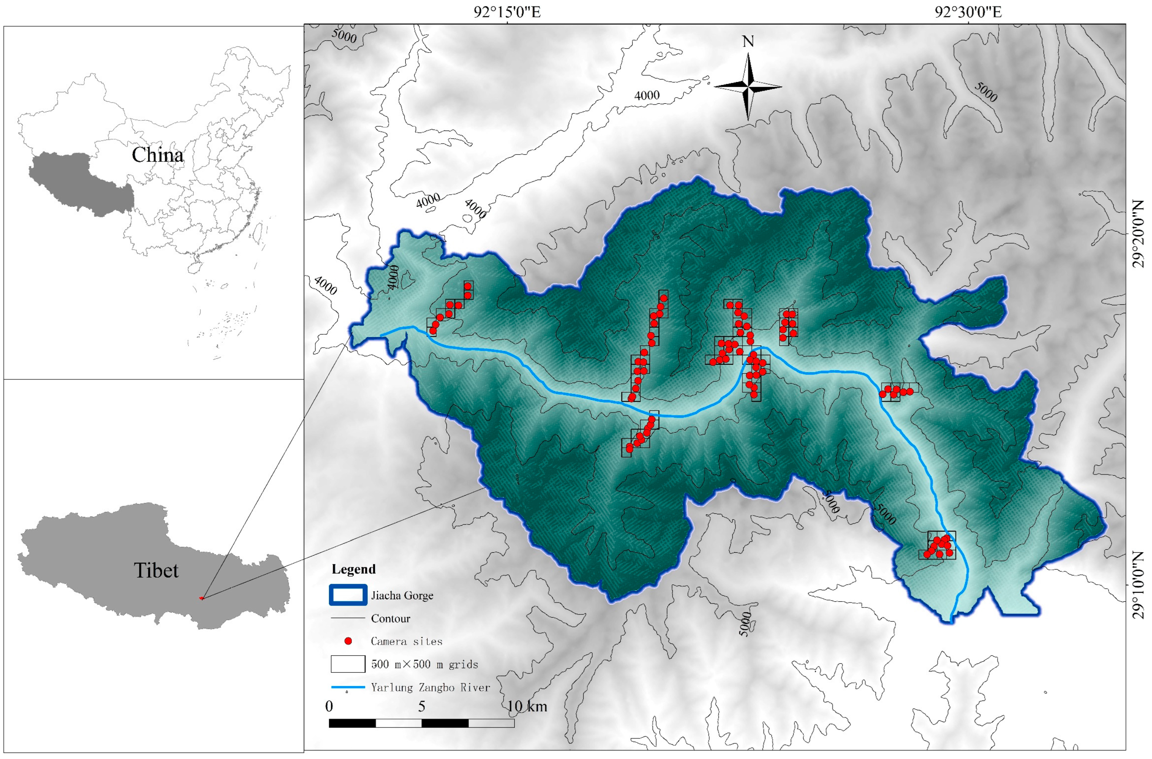 Biology 12 00815 g001 Biology 12 00815 g001