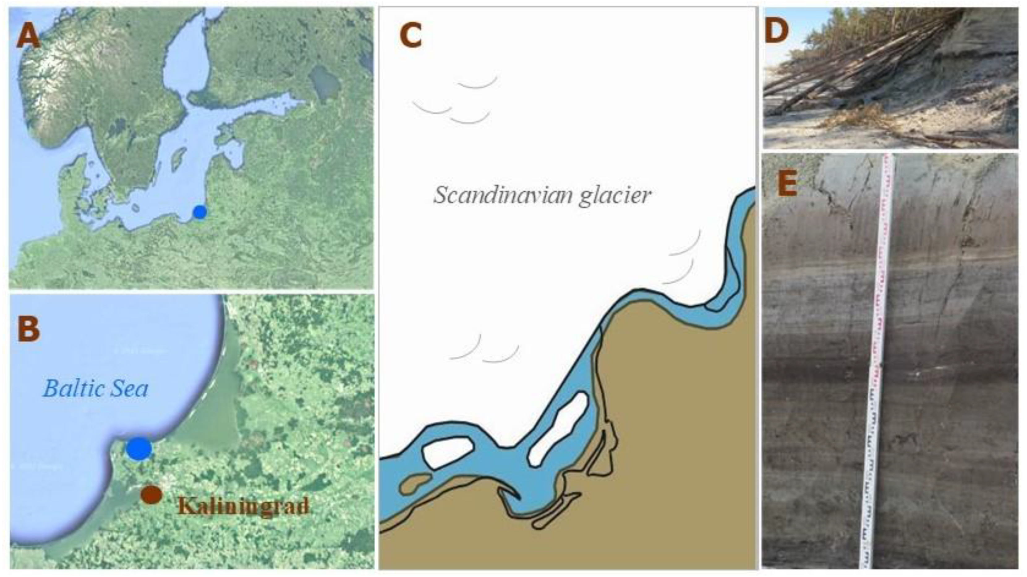 Biology 12 00821 g001 Biology 12 00821 g001