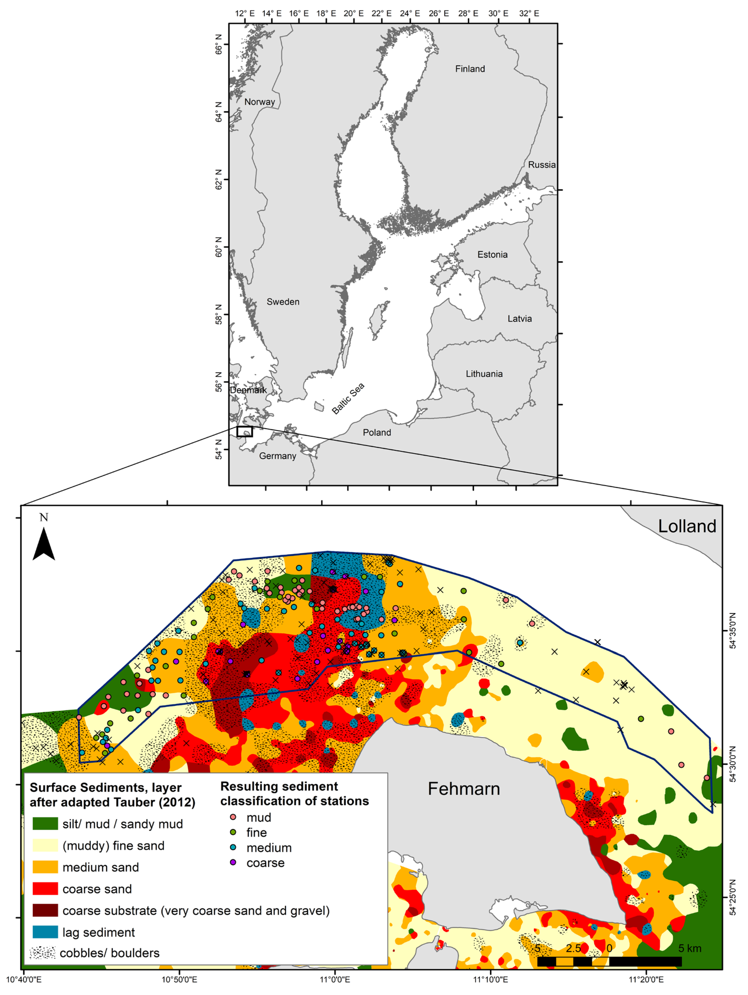 Biology 12 00825 g001 Biology 12 00825 g001