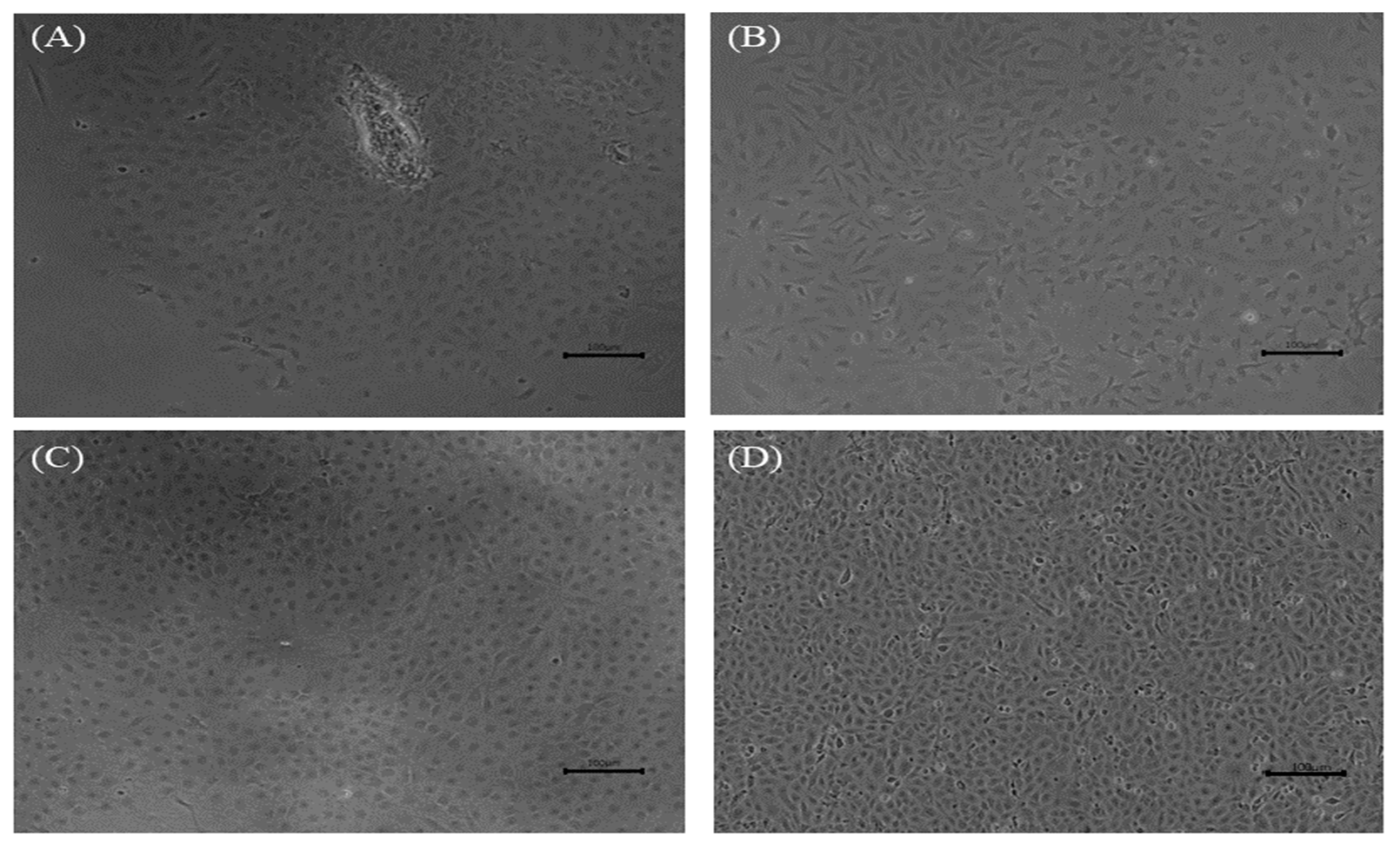 Biology 12 00829 g001