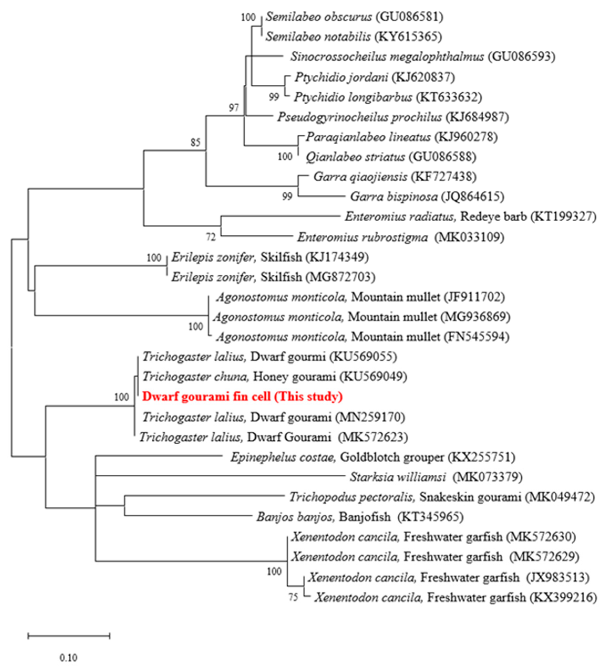 Biology 12 00829 g002