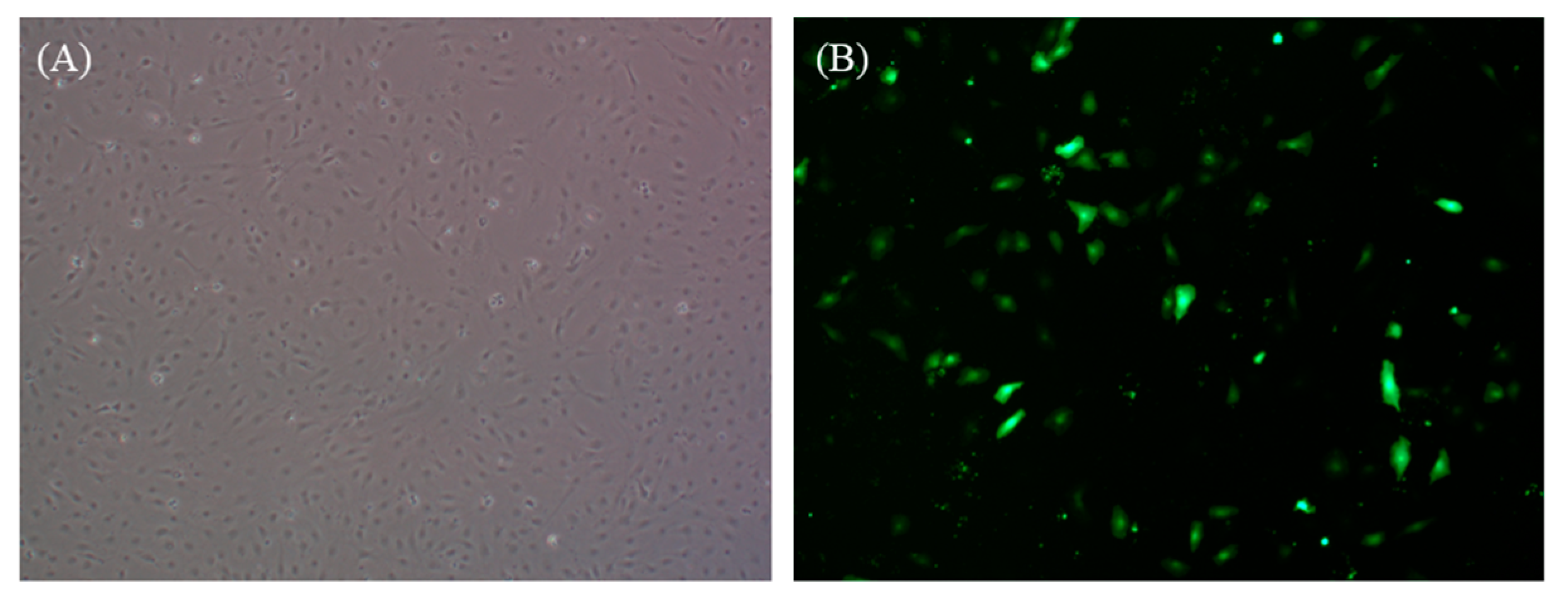 Biology 12 00829 g005