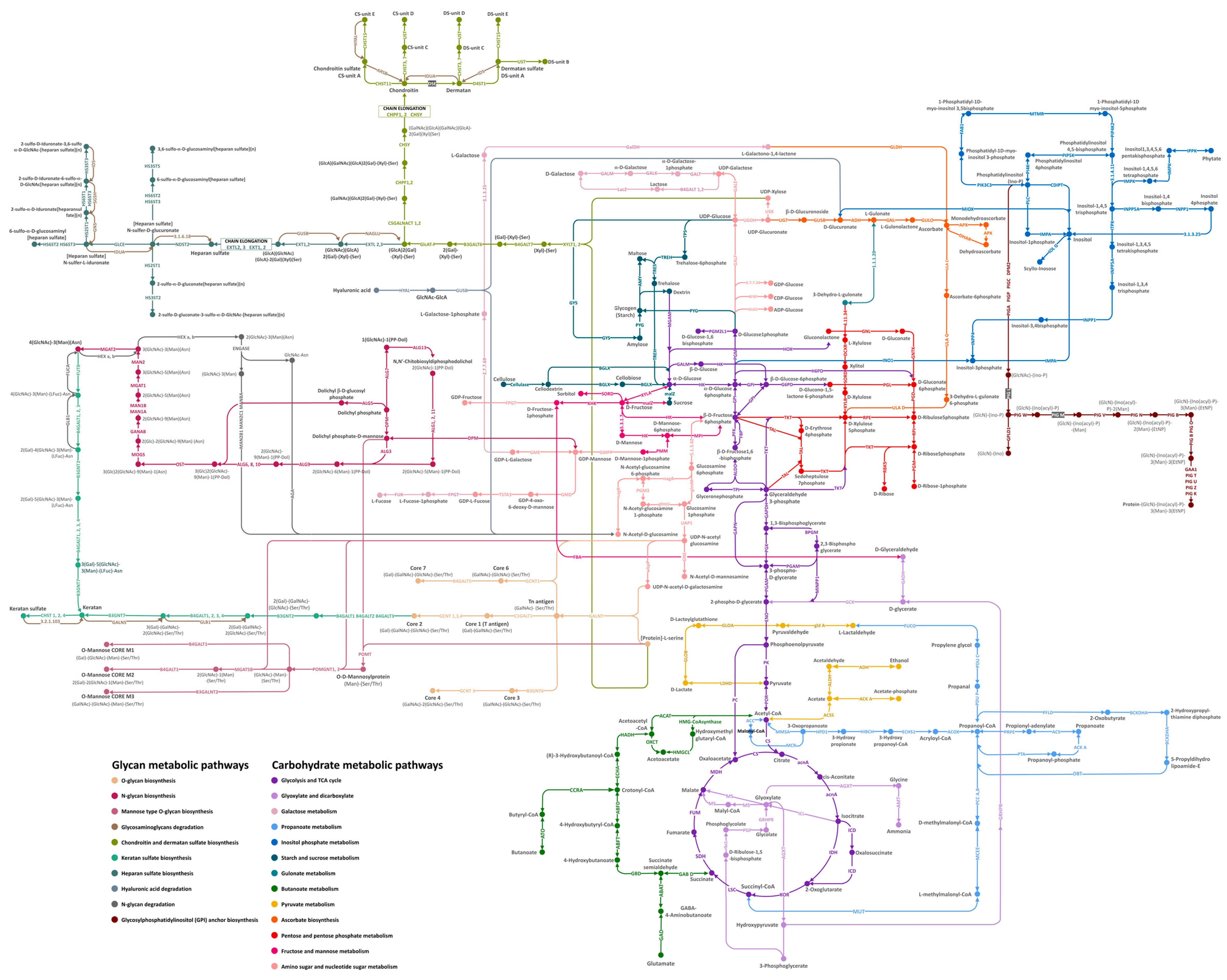Biology 12 00836 g002