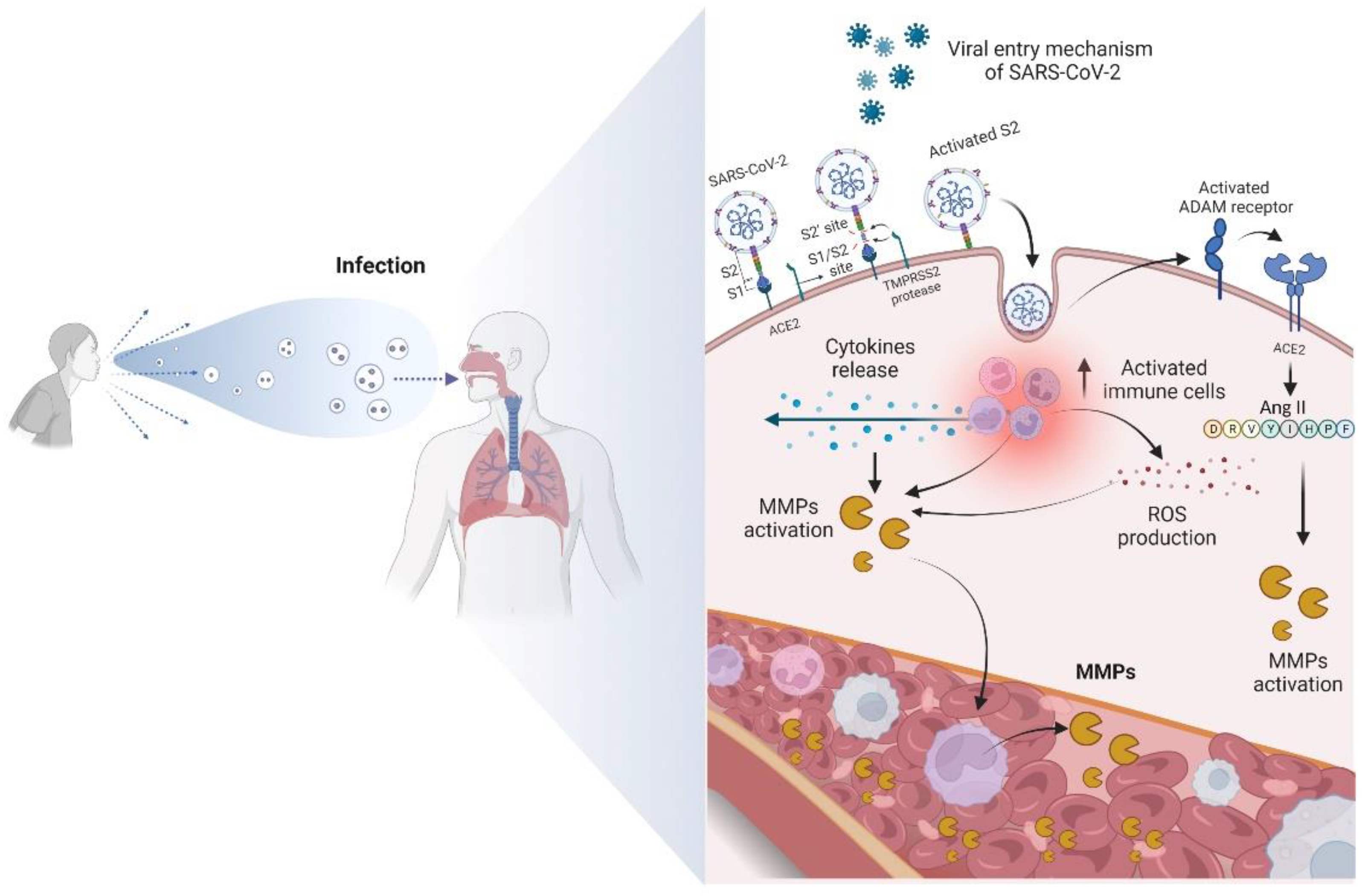 Biology 12 00843 g002