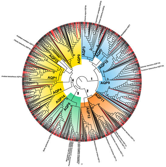 Biology 12 00846 g001