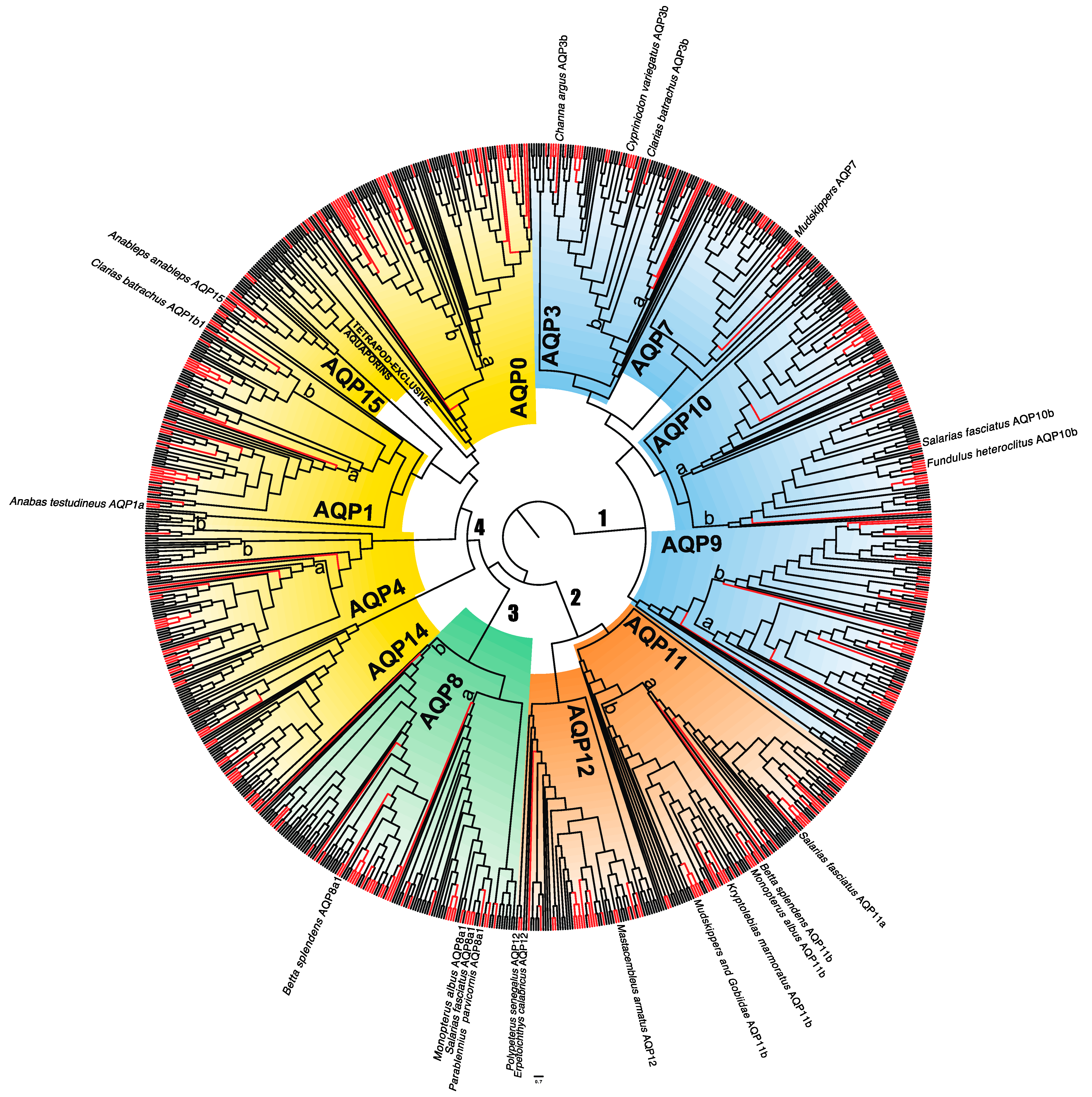 Biology 12 00846 g001 Biology 12 00846 g001