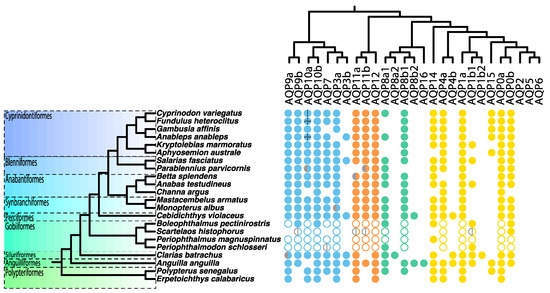 Biology 12 00846 g002