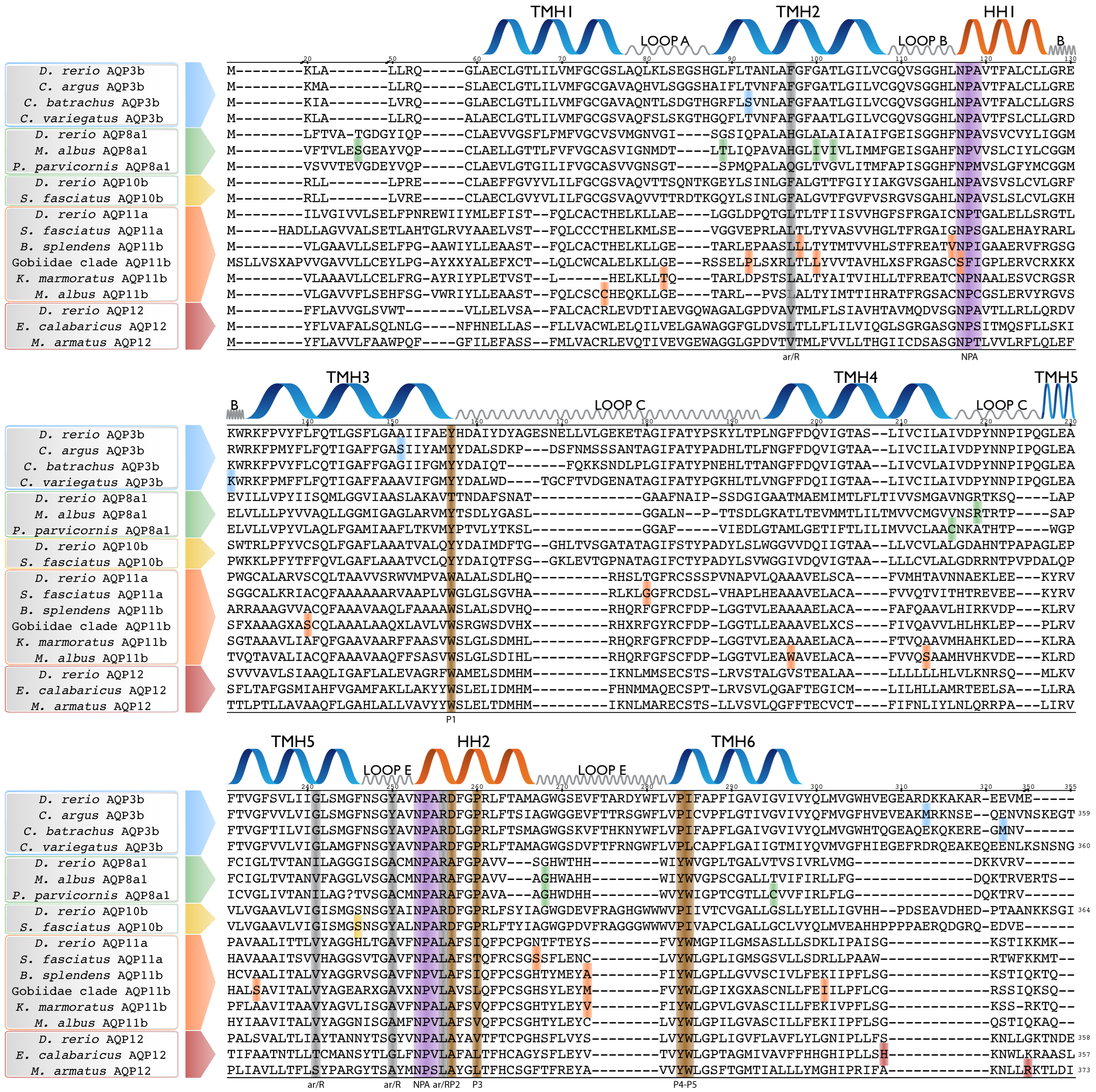 Biology 12 00846 g003 Biology 12 00846 g003