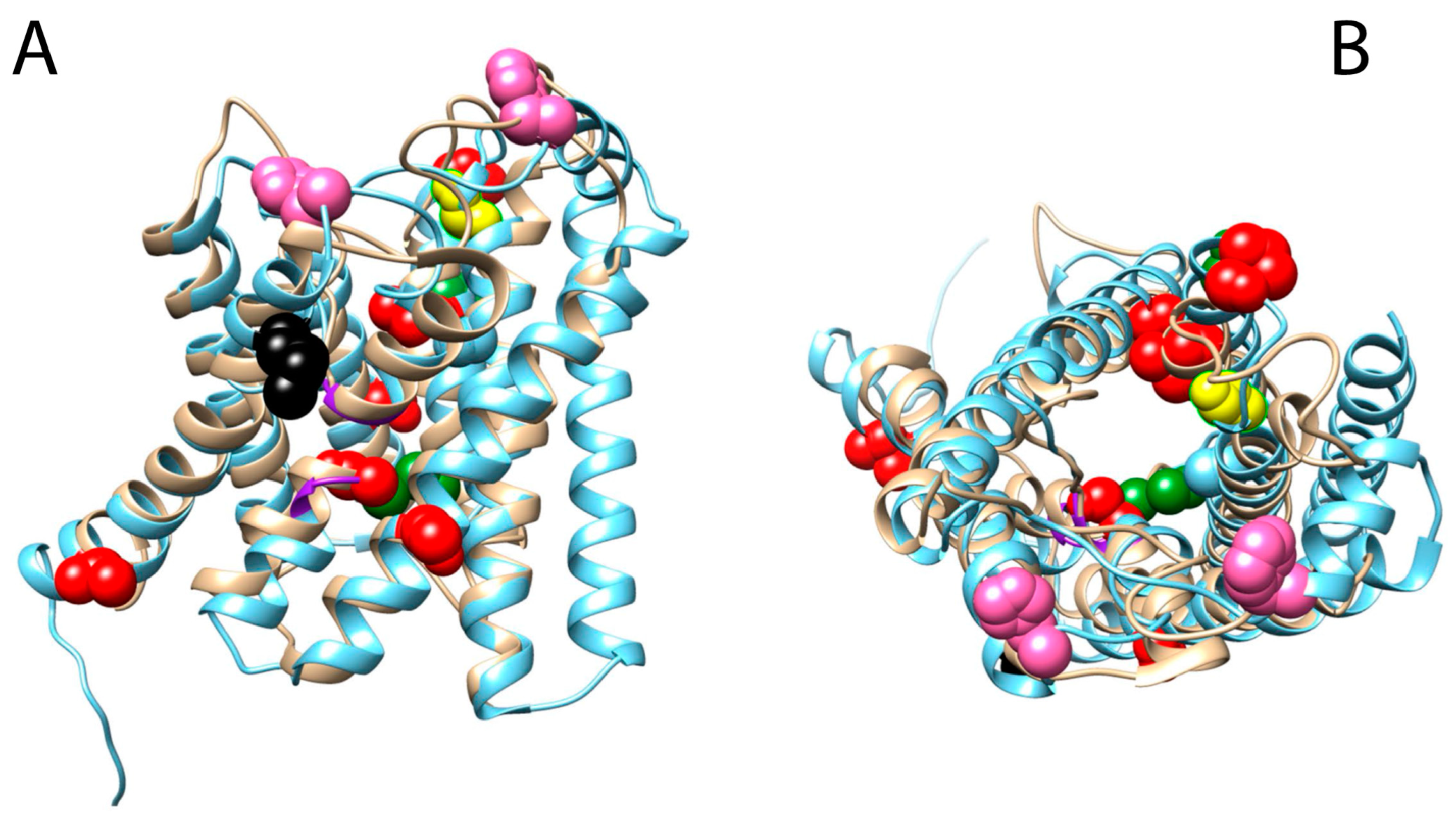 Biology 12 00846 g004 Biology 12 00846 g004
