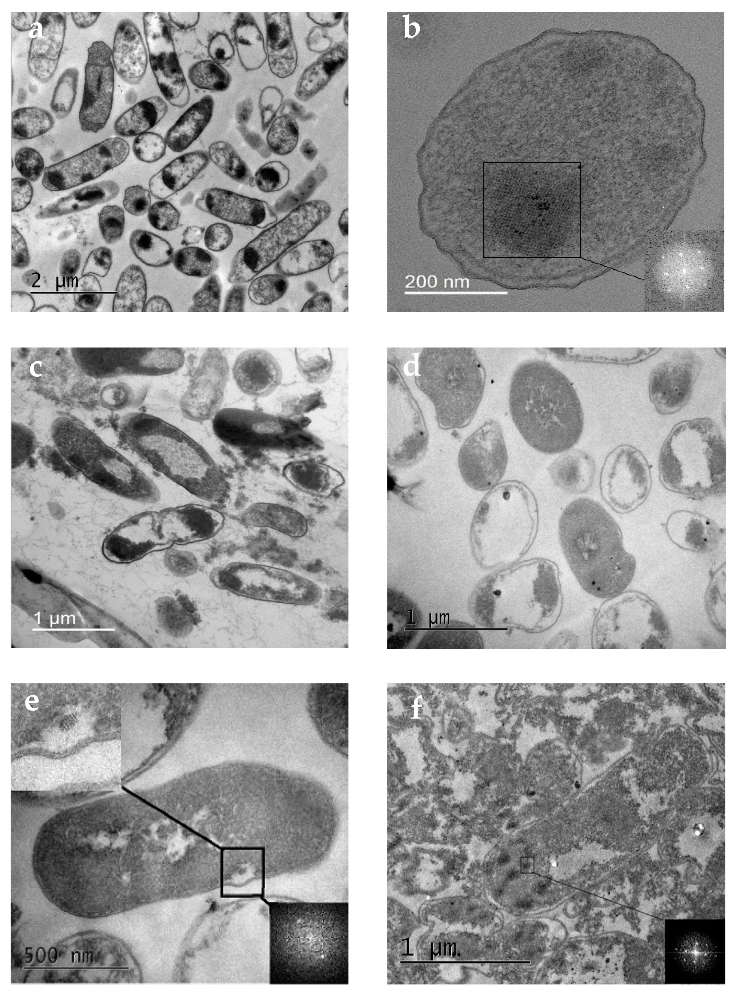 Biology 12 00853 g004a