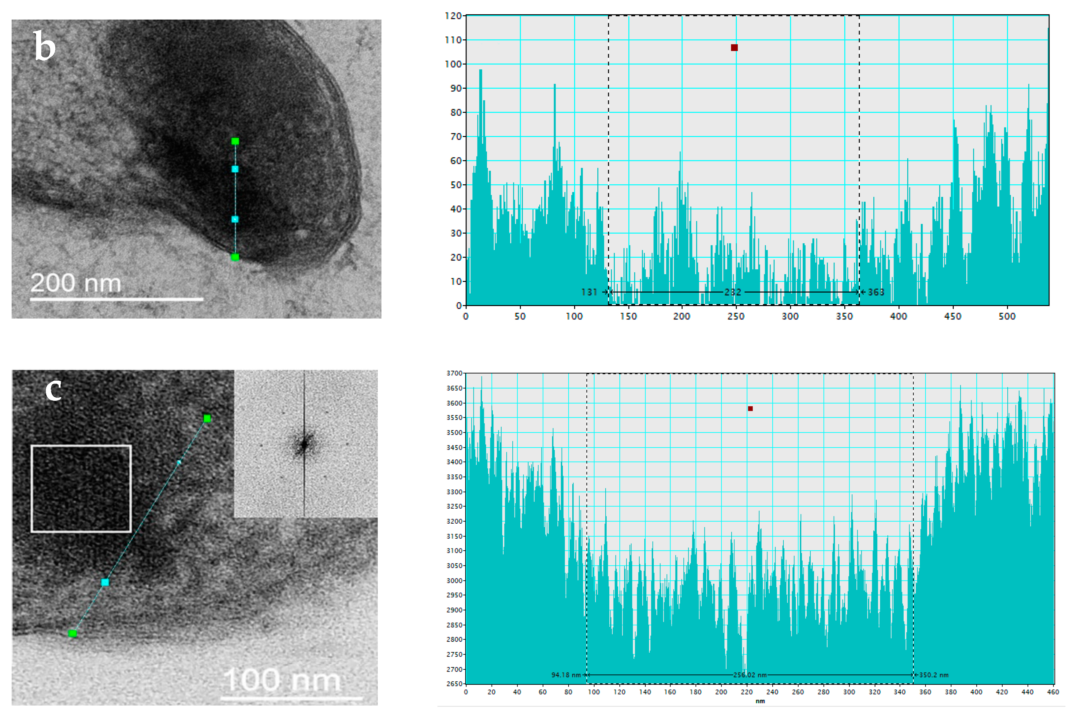 Biology 12 00853 g005b