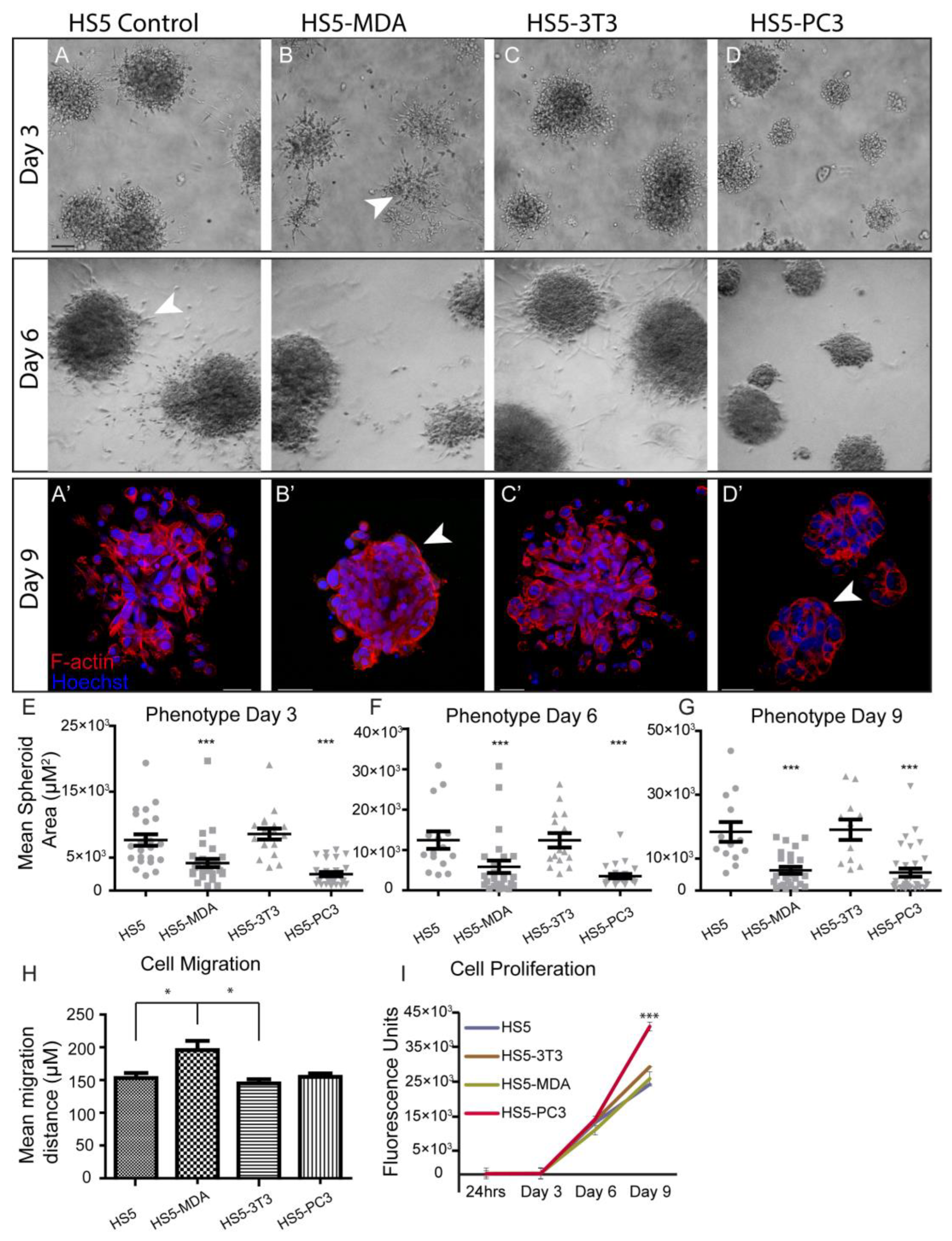 Biology 12 00861 g001 Biology 12 00861 g001