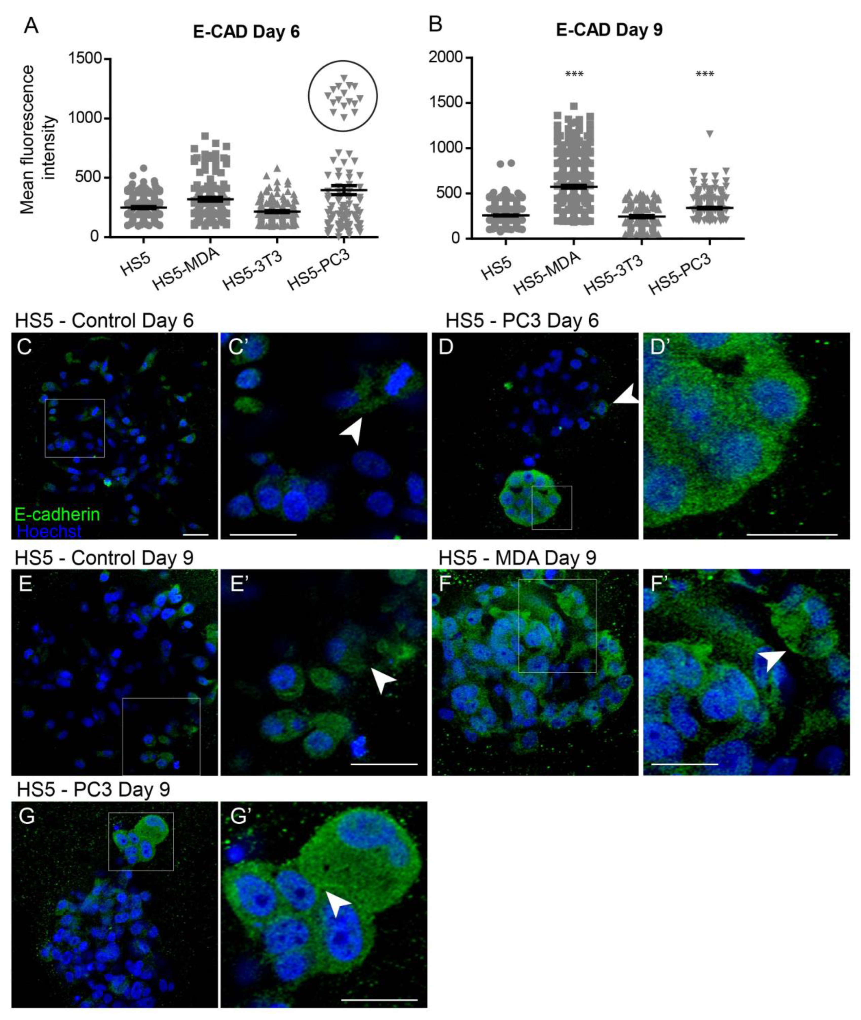 Biology 12 00861 g002 Biology 12 00861 g002