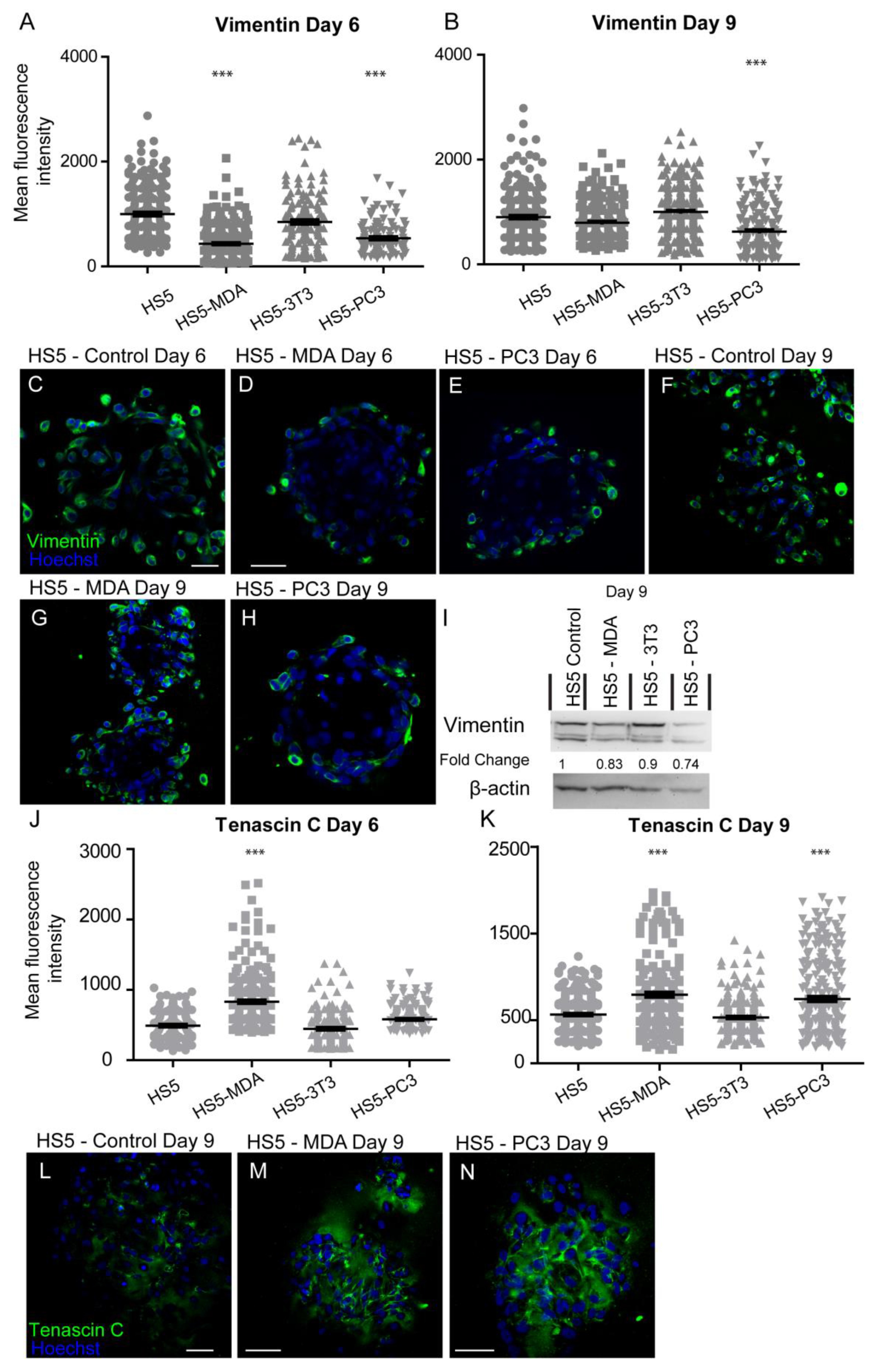 Biology 12 00861 g004 Biology 12 00861 g004