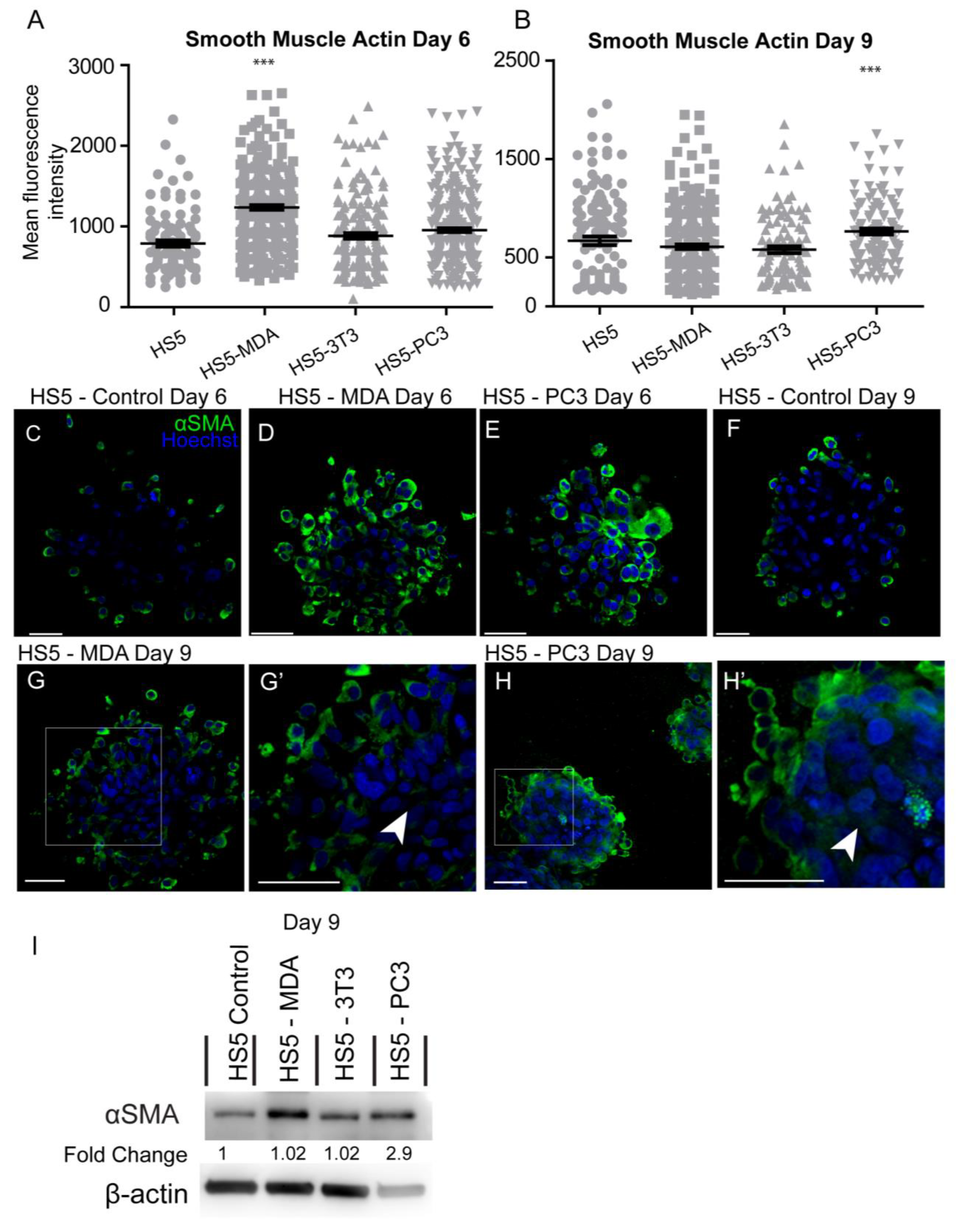 Biology 12 00861 g005 Biology 12 00861 g005
