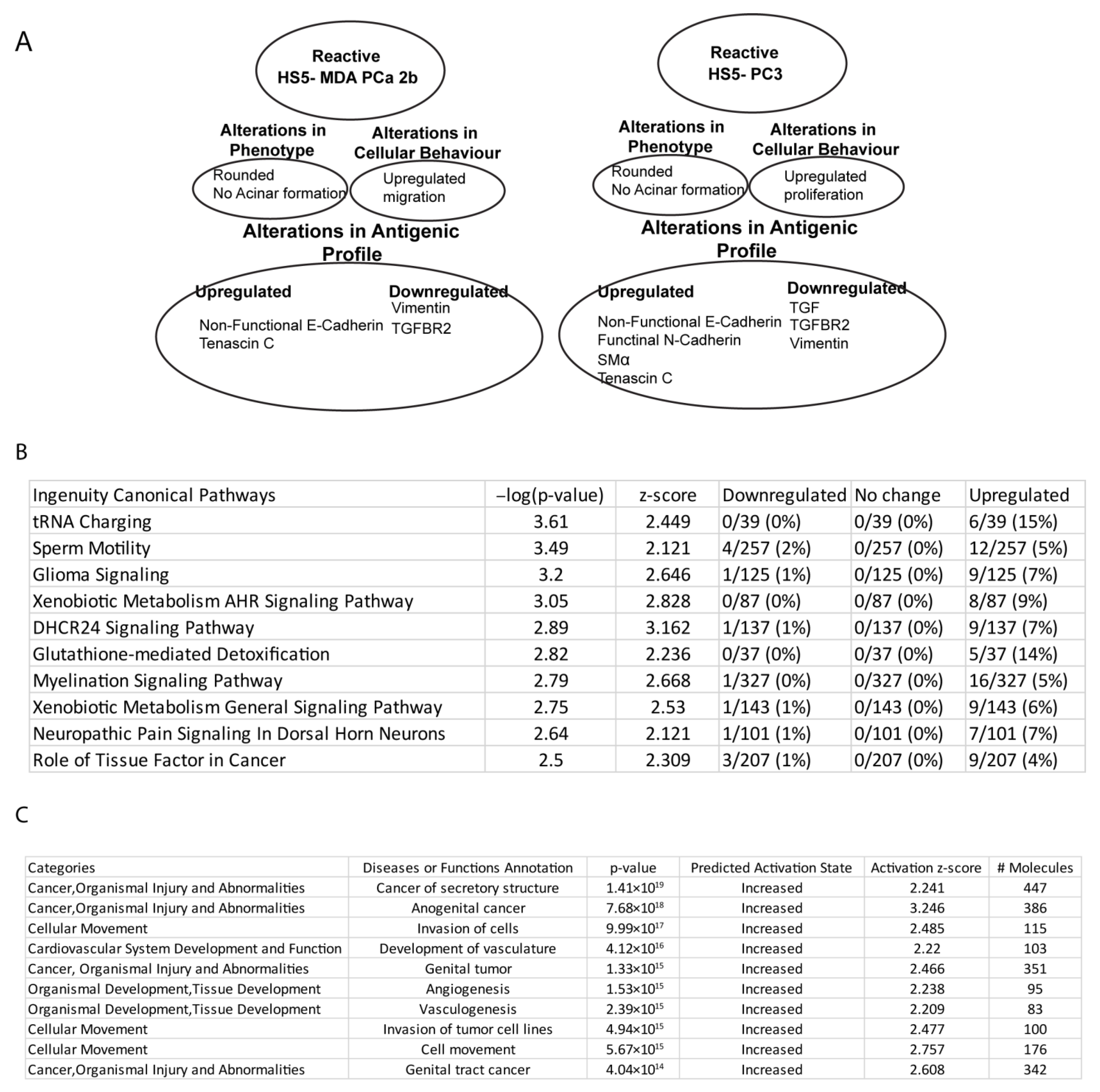 Biology 12 00861 g008 Biology 12 00861 g008
