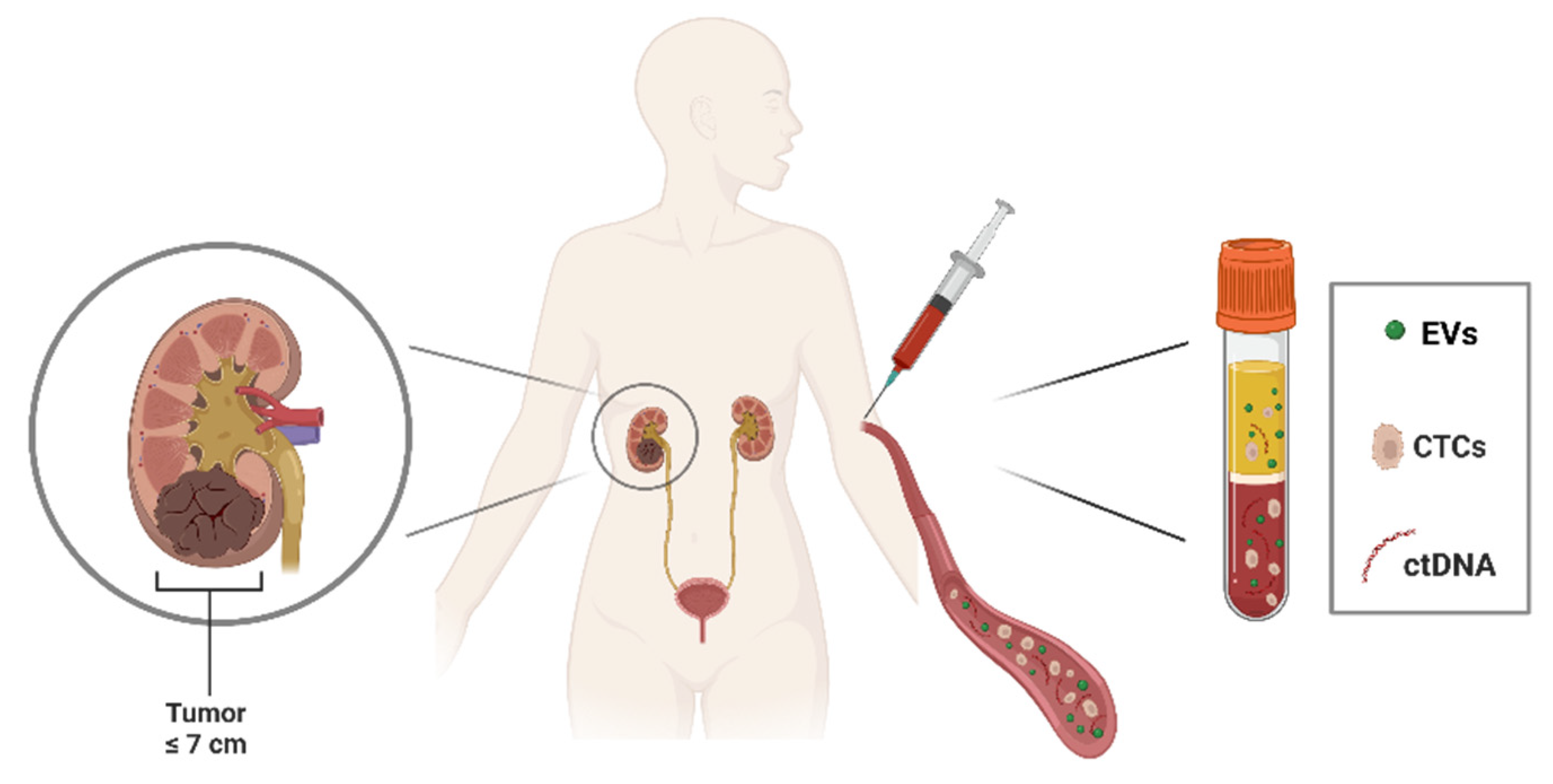 Biology 12 00877 g001 Biology 12 00877 g001