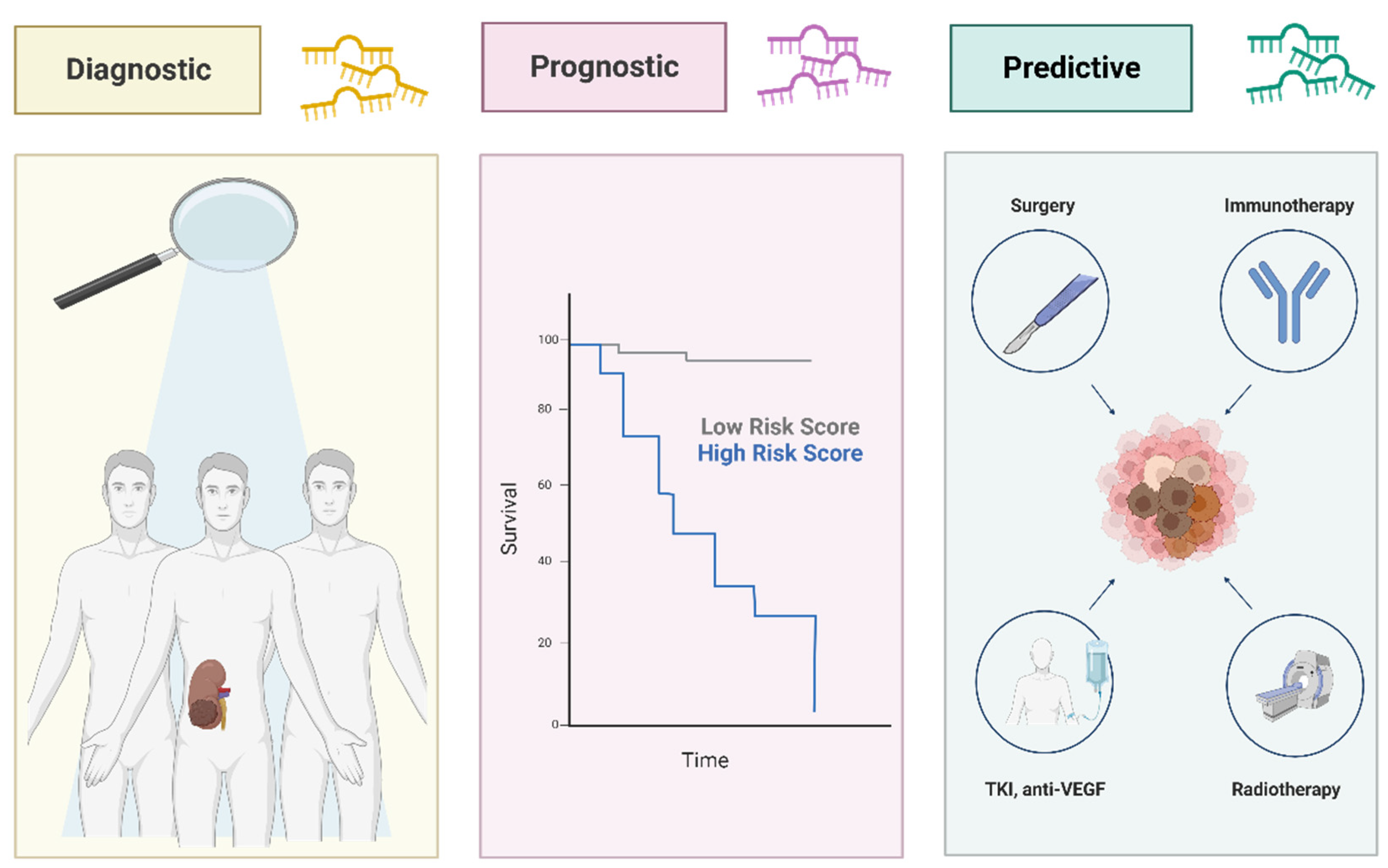 Biology 12 00877 g003 Biology 12 00877 g003