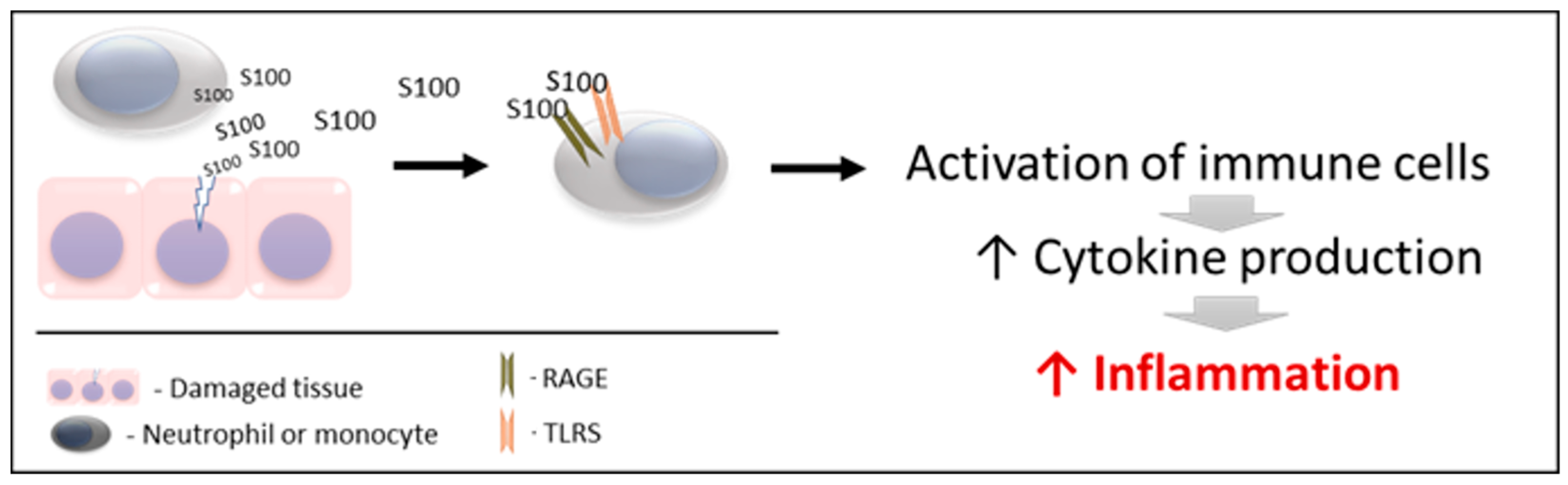 Biology 12 00881 g001