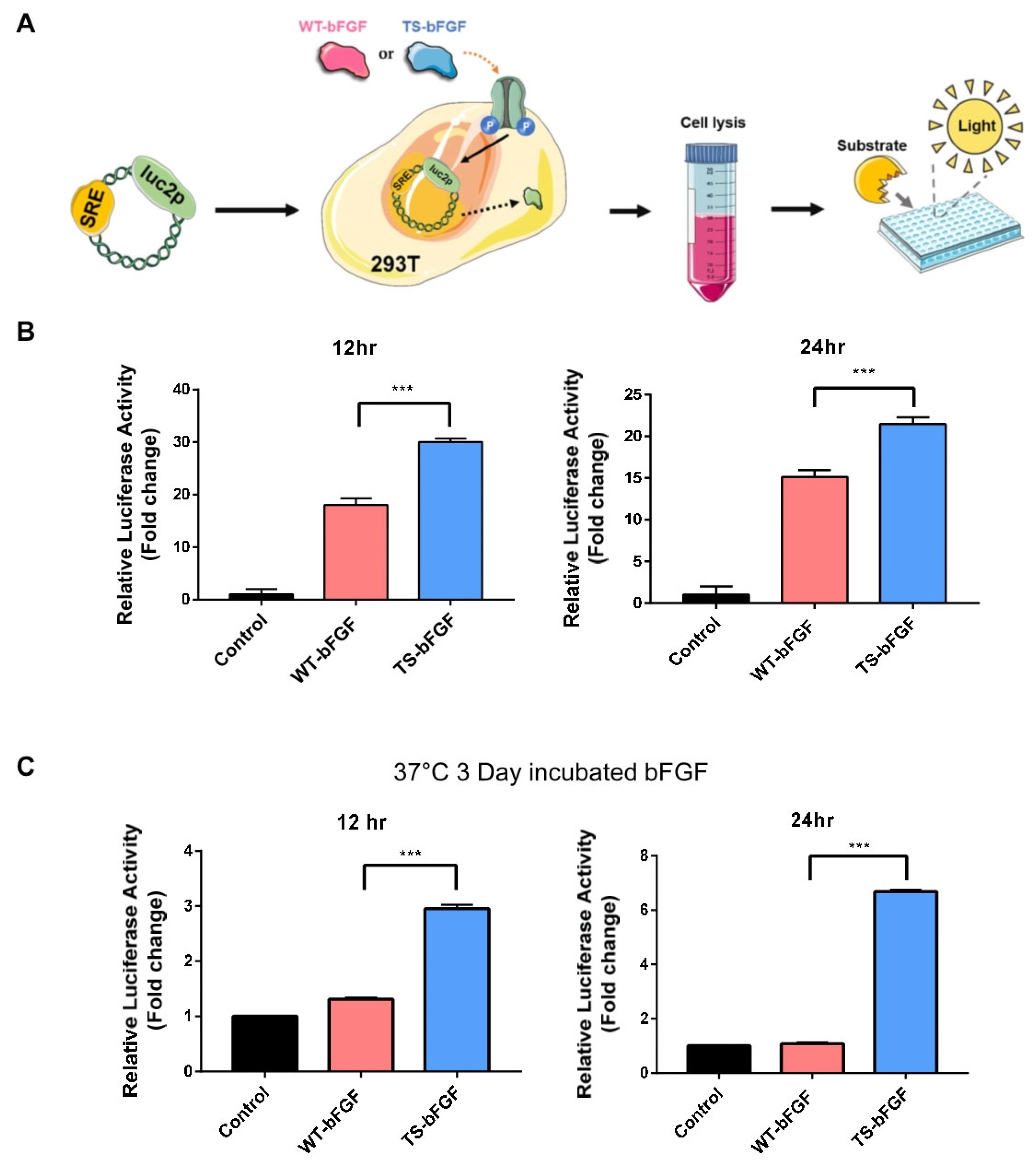 Biology 12 00888 g002 Biology 12 00888 g002