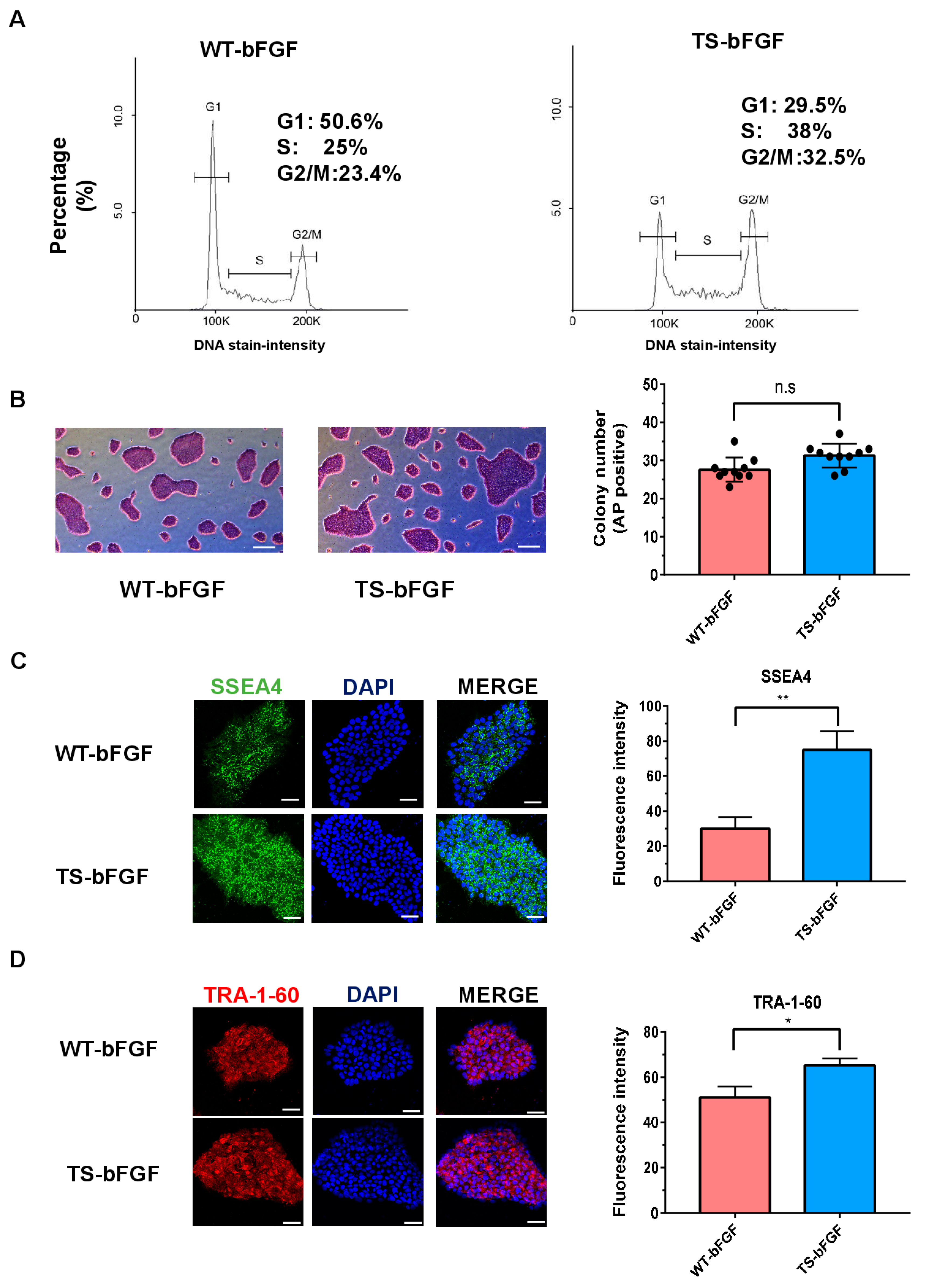 Biology 12 00888 g004 Biology 12 00888 g004