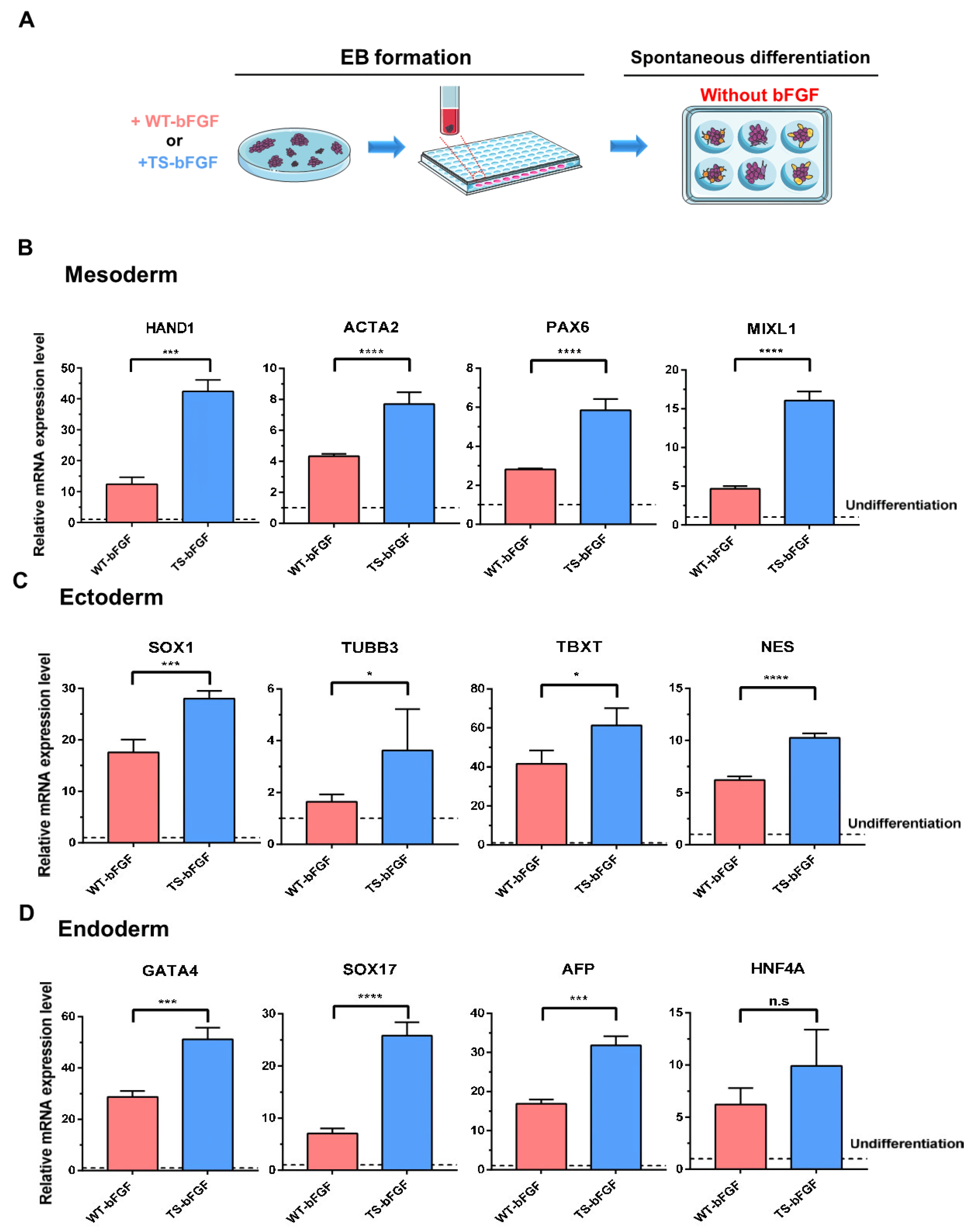 Biology 12 00888 g005 Biology 12 00888 g005