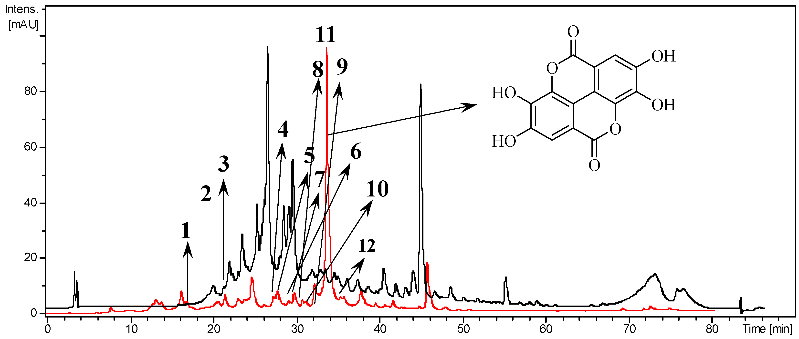 Biology 12 00895 g001