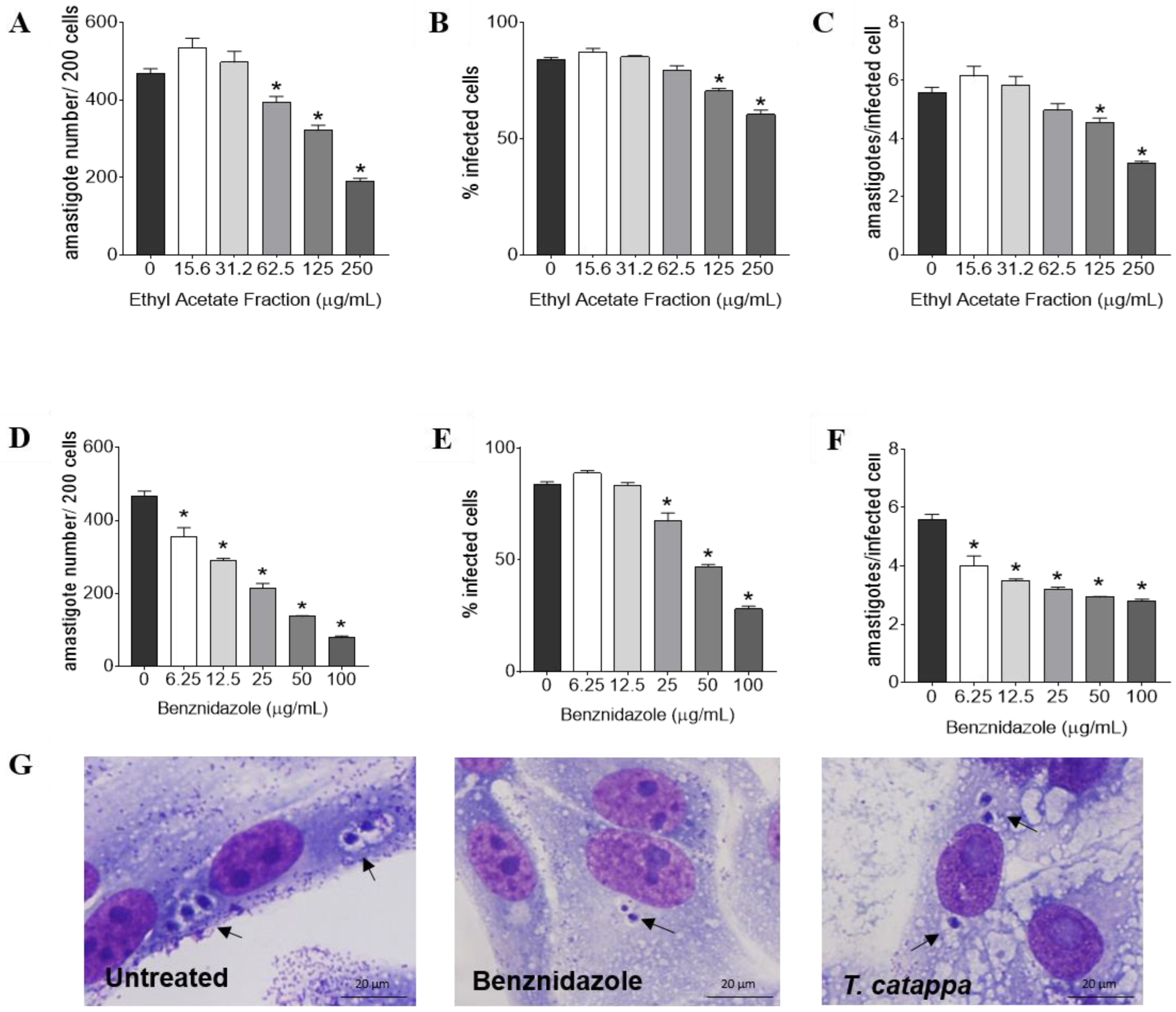 Biology 12 00895 g003