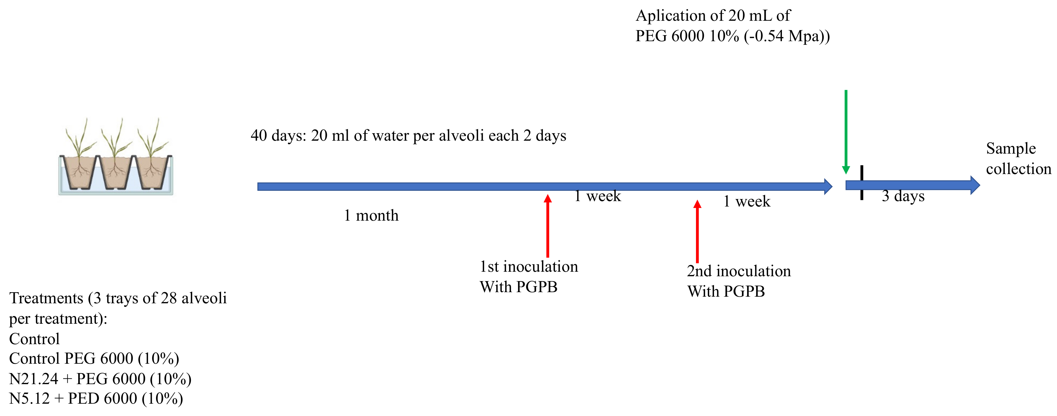 Biology 12 00901 g001