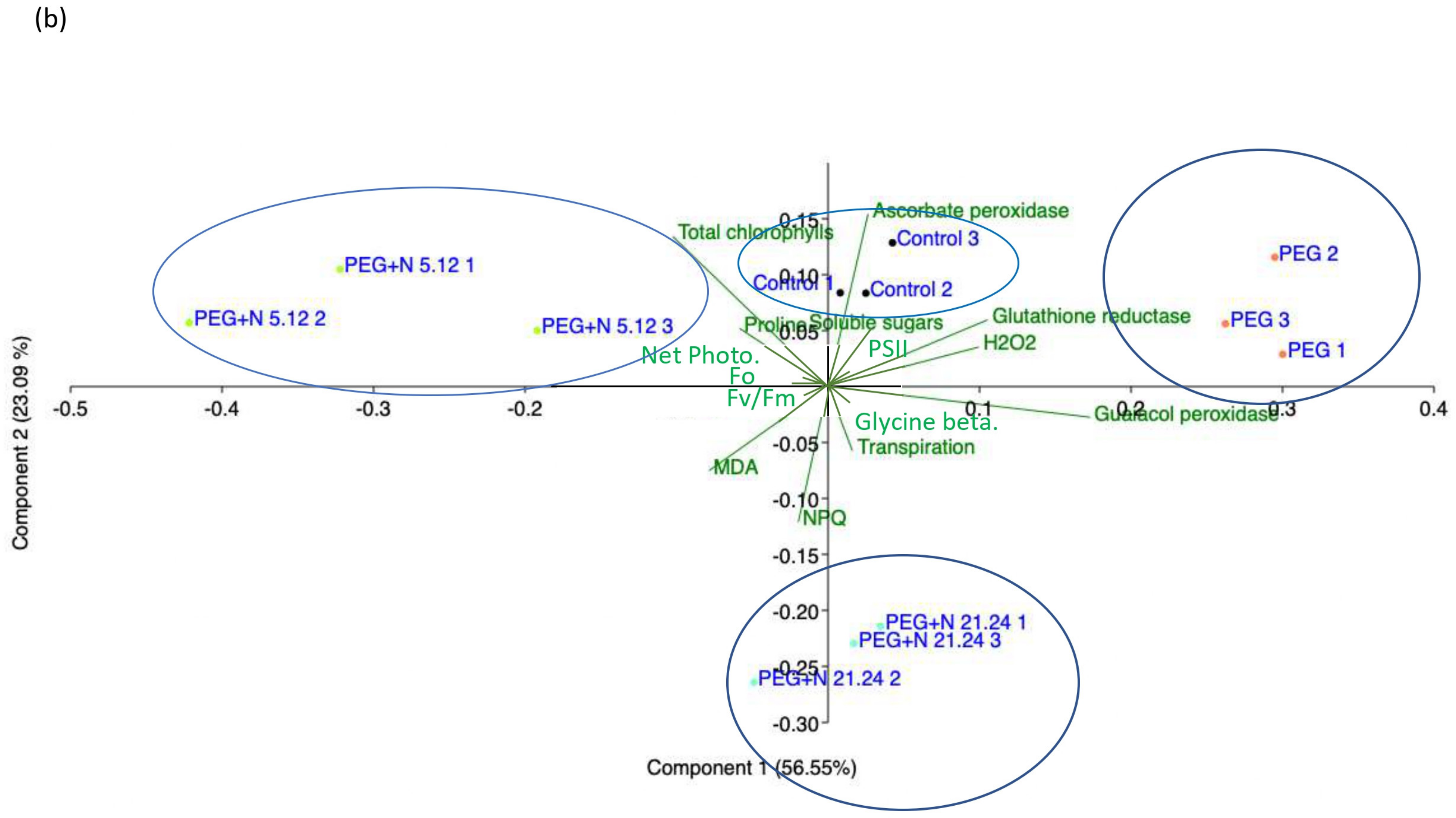 Biology 12 00901 g009b