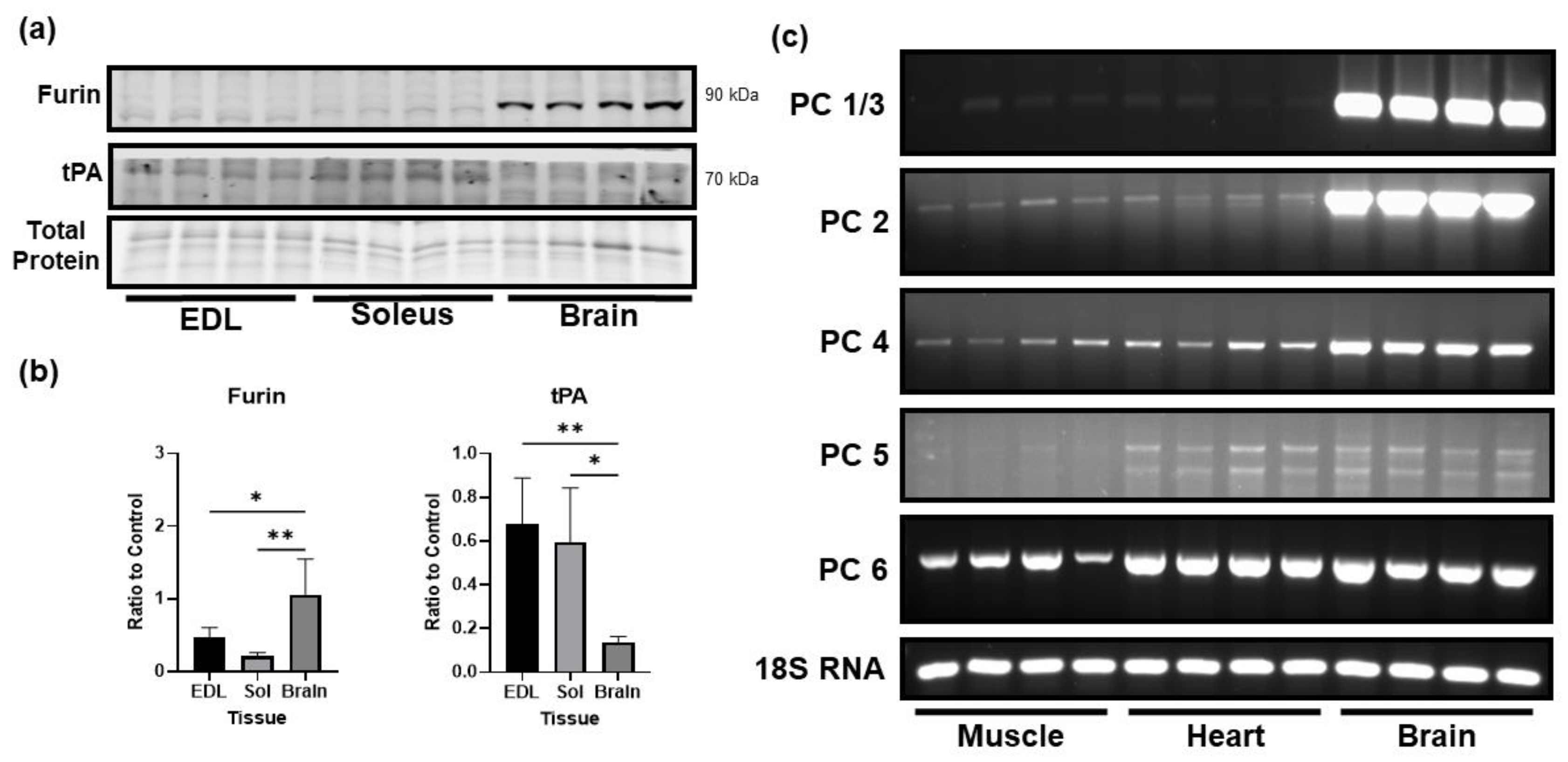 Biology 12 00903 g003