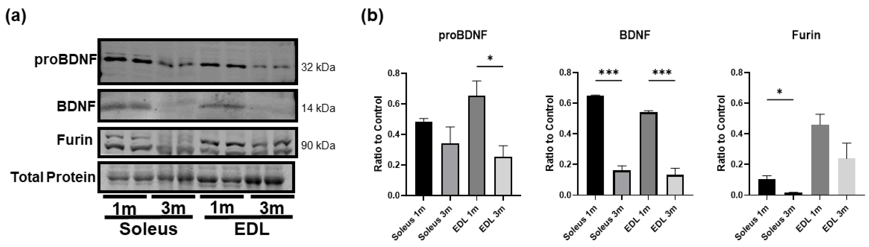 Biology 12 00903 g004