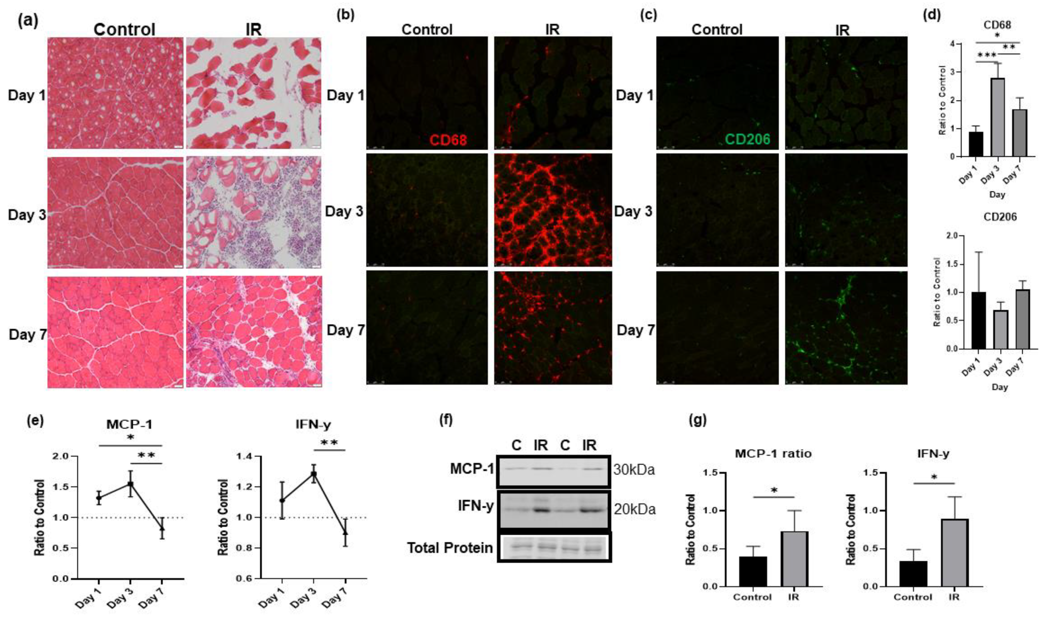 Biology 12 00903 g006