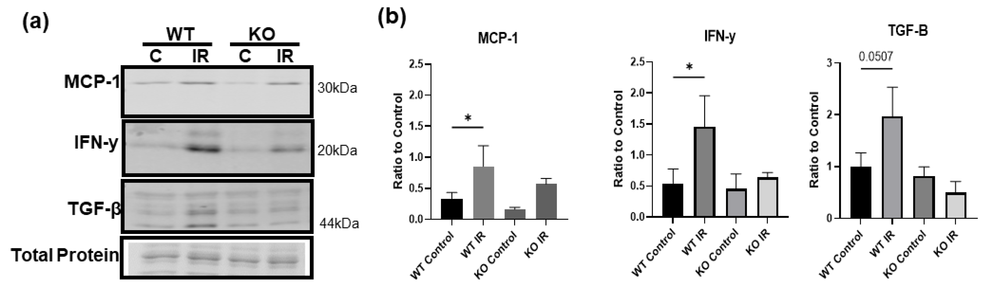 Biology 12 00903 g008