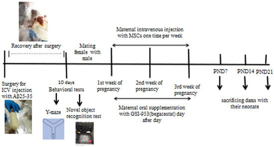 Biology 12 00905 g001