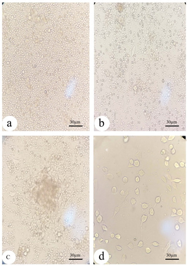 Biology 12 00905 g002