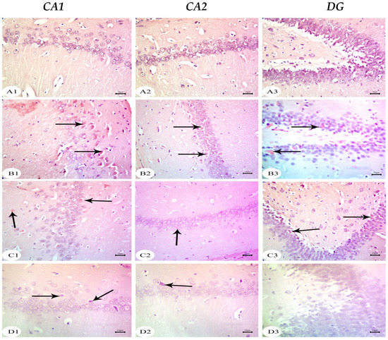 Biology 12 00905 g006