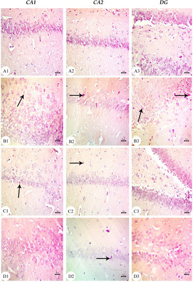 Biology 12 00905 g007