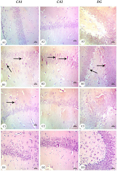 Biology 12 00905 g008