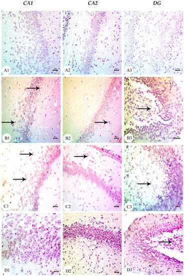 Biology 12 00905 g009
