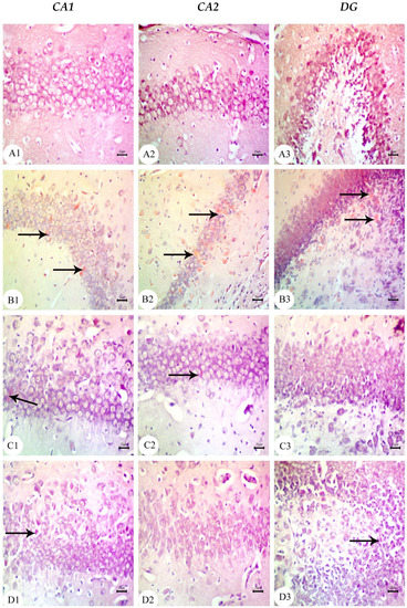 Biology 12 00905 g010