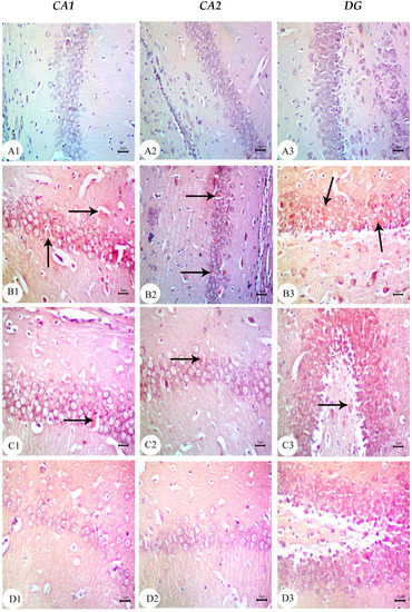Biology 12 00905 g011